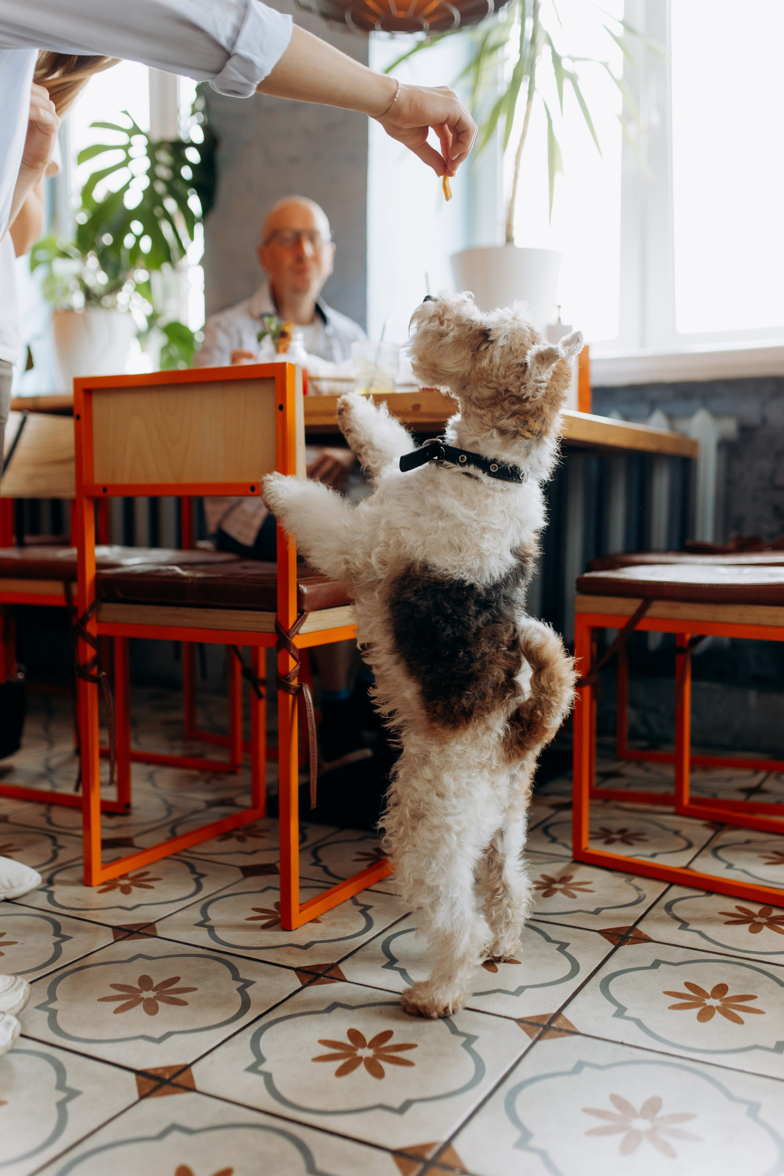 По бургеру в «Карл Маркс». Свадебный и семейный фотограф в Туле и области Маша Костина