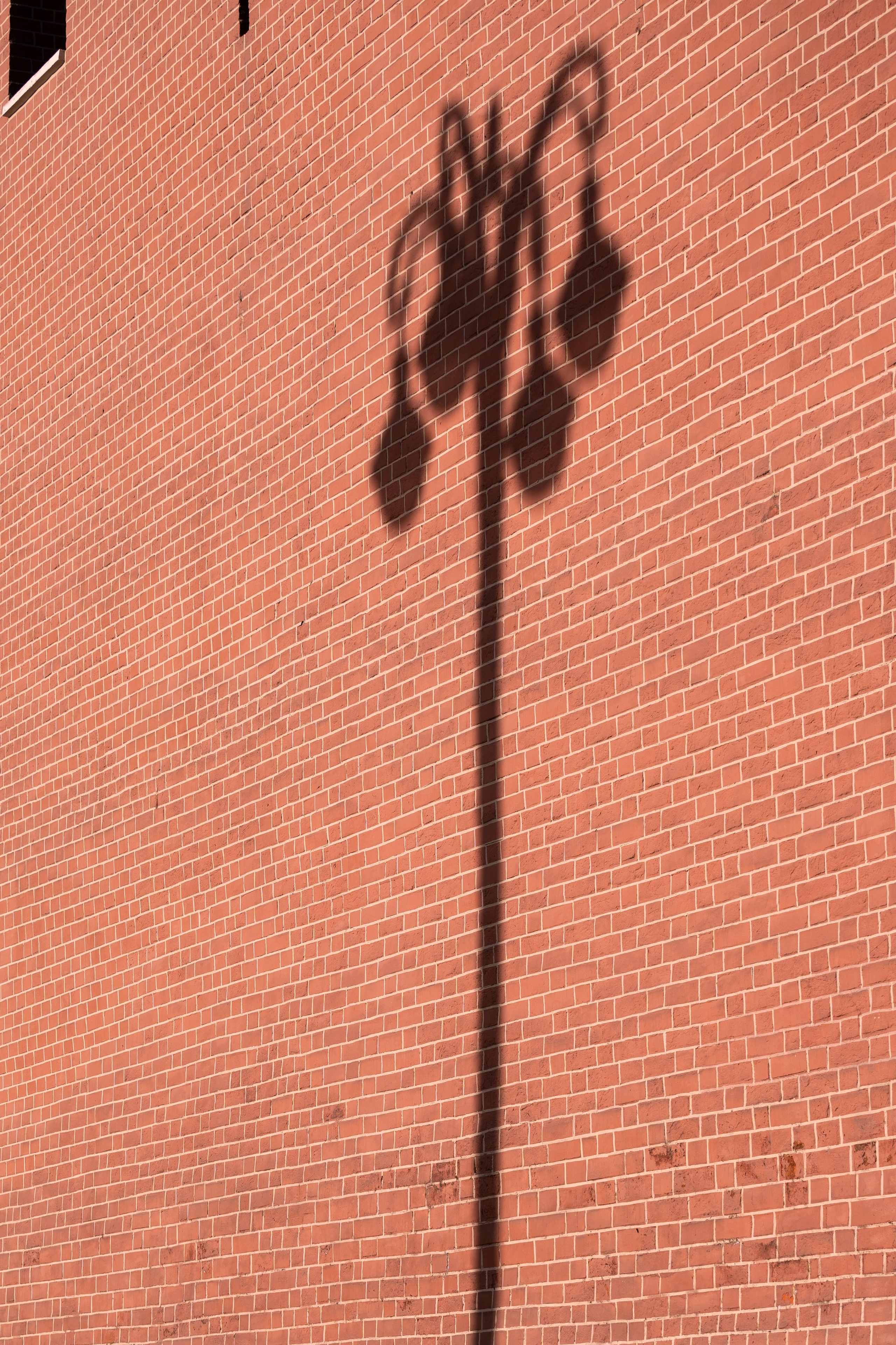 20241110 ГУМ и Кремль. Дмитрий Ремизов. Фотография, как хобби