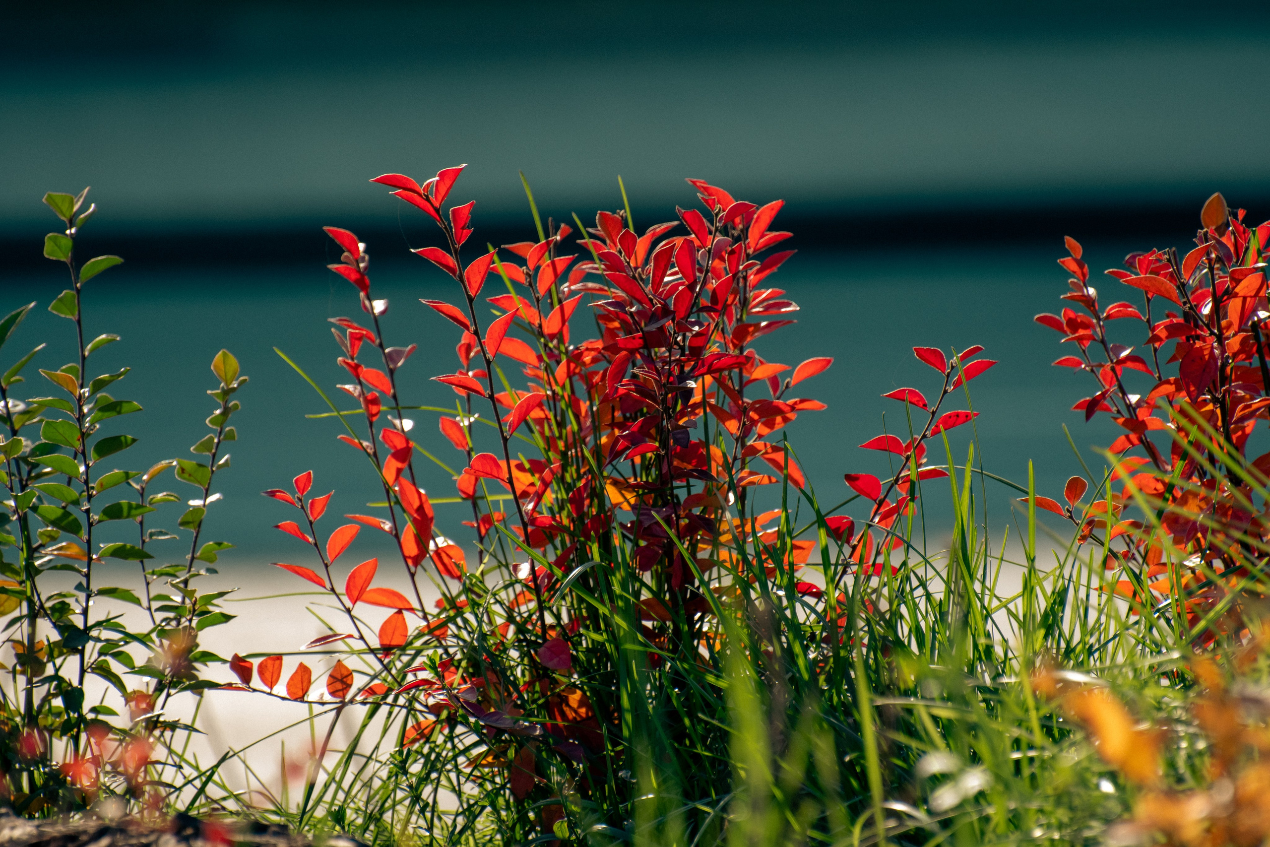 20211003 Поклонка. Дмитрий Ремизов. Фотография, как хобби
