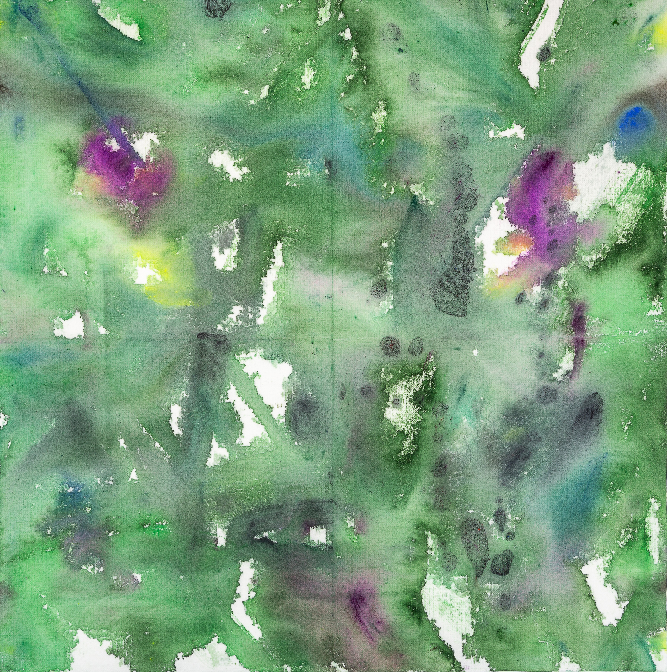 Аня Ким — Дикий сад