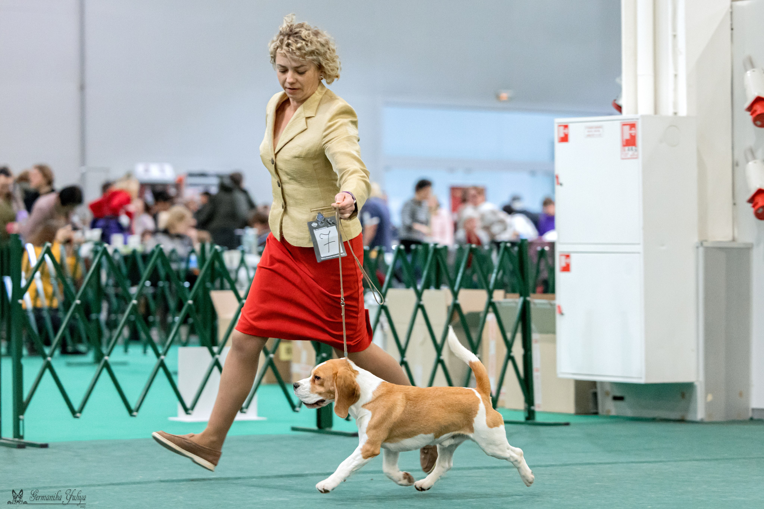 Сфера 29.10,Крокус 4.11,Сфера 12.11.2023. Фотограф-анималист Юлия Германика