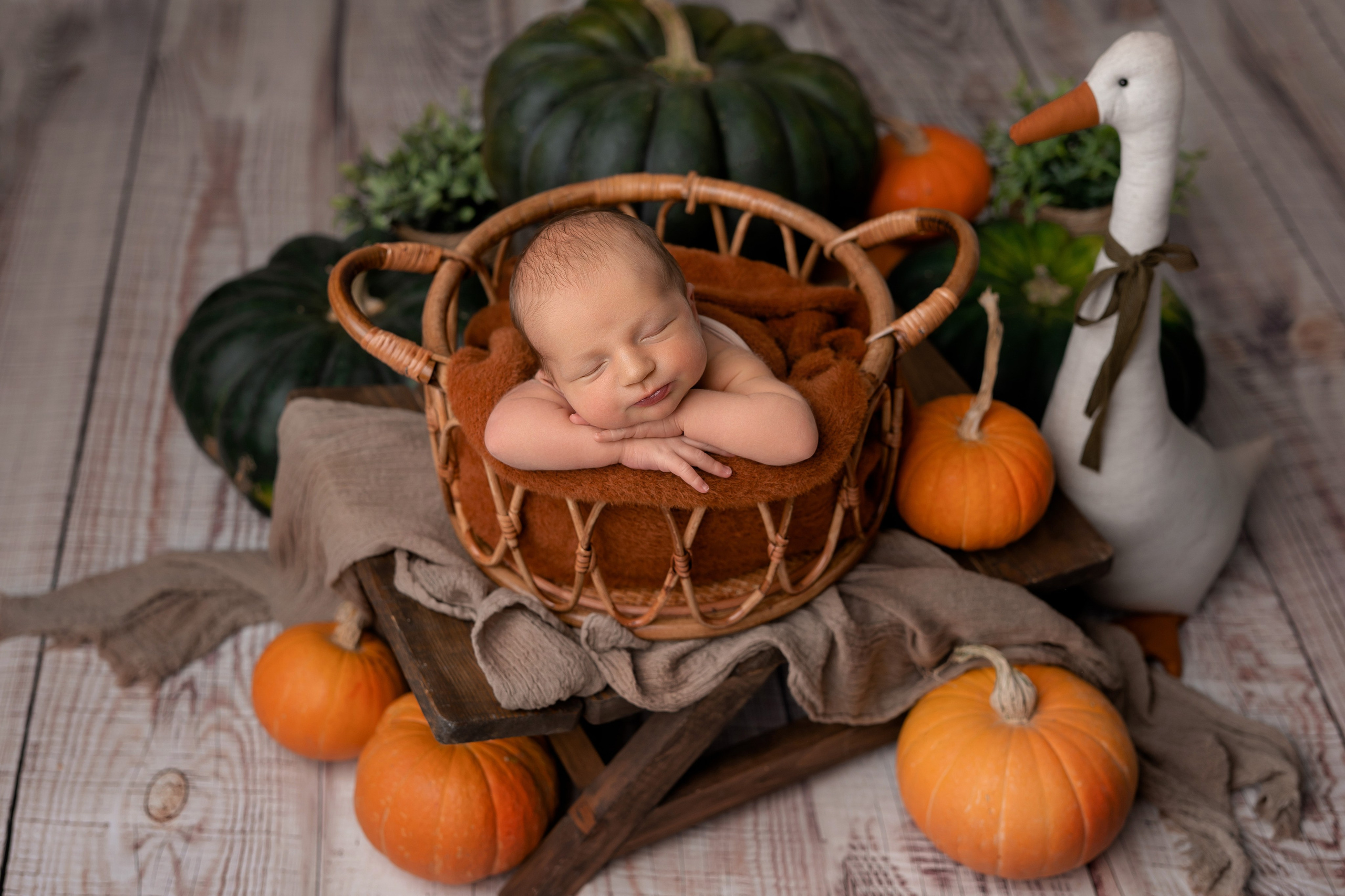 Фотосессия новорожденных в Рязани. Фотограф новорожденных г. Рязань, детский и семейный фотограф