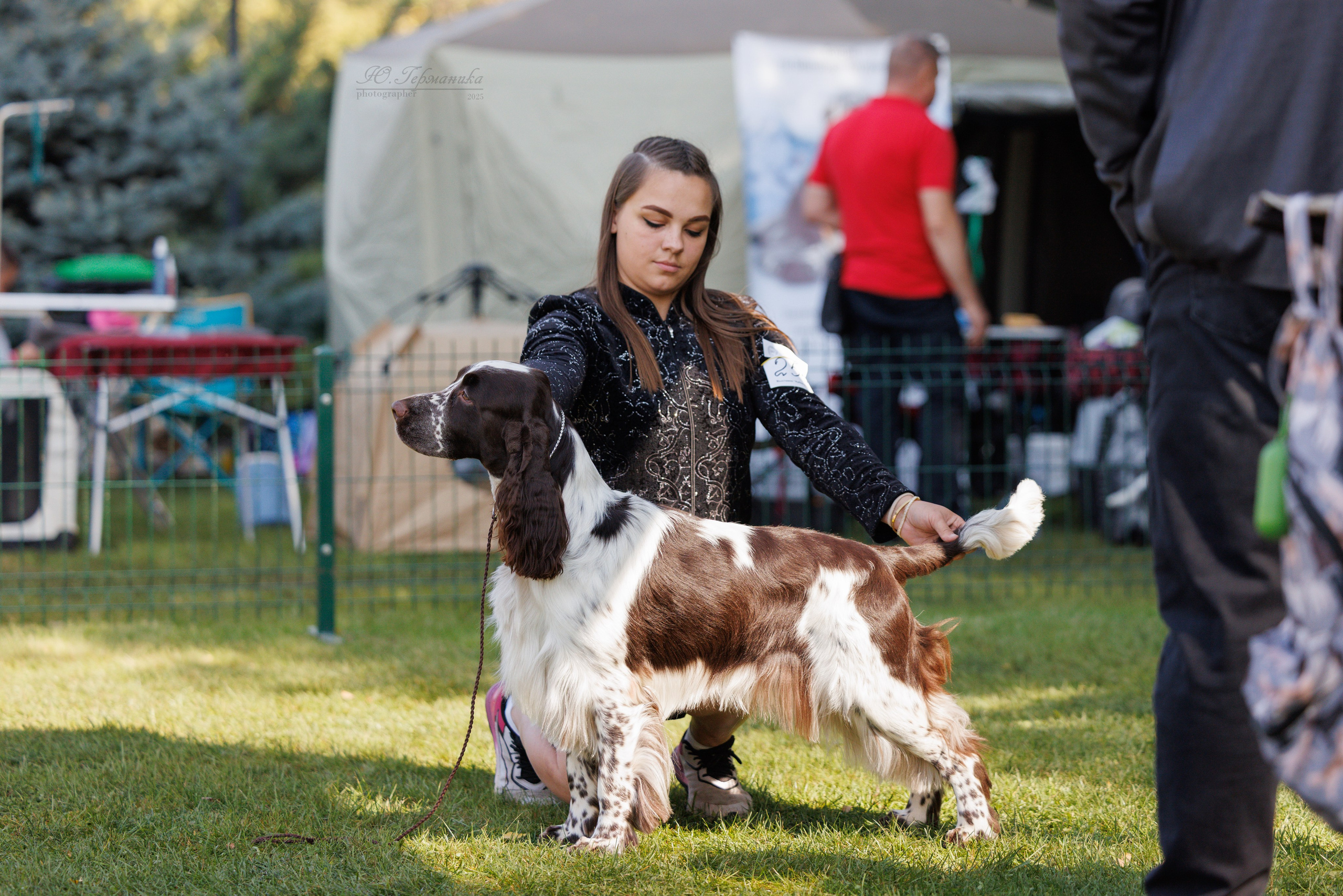Бишкек 3х CACIB 26-28.09.2025. Фотограф-анималист Юлия Германика