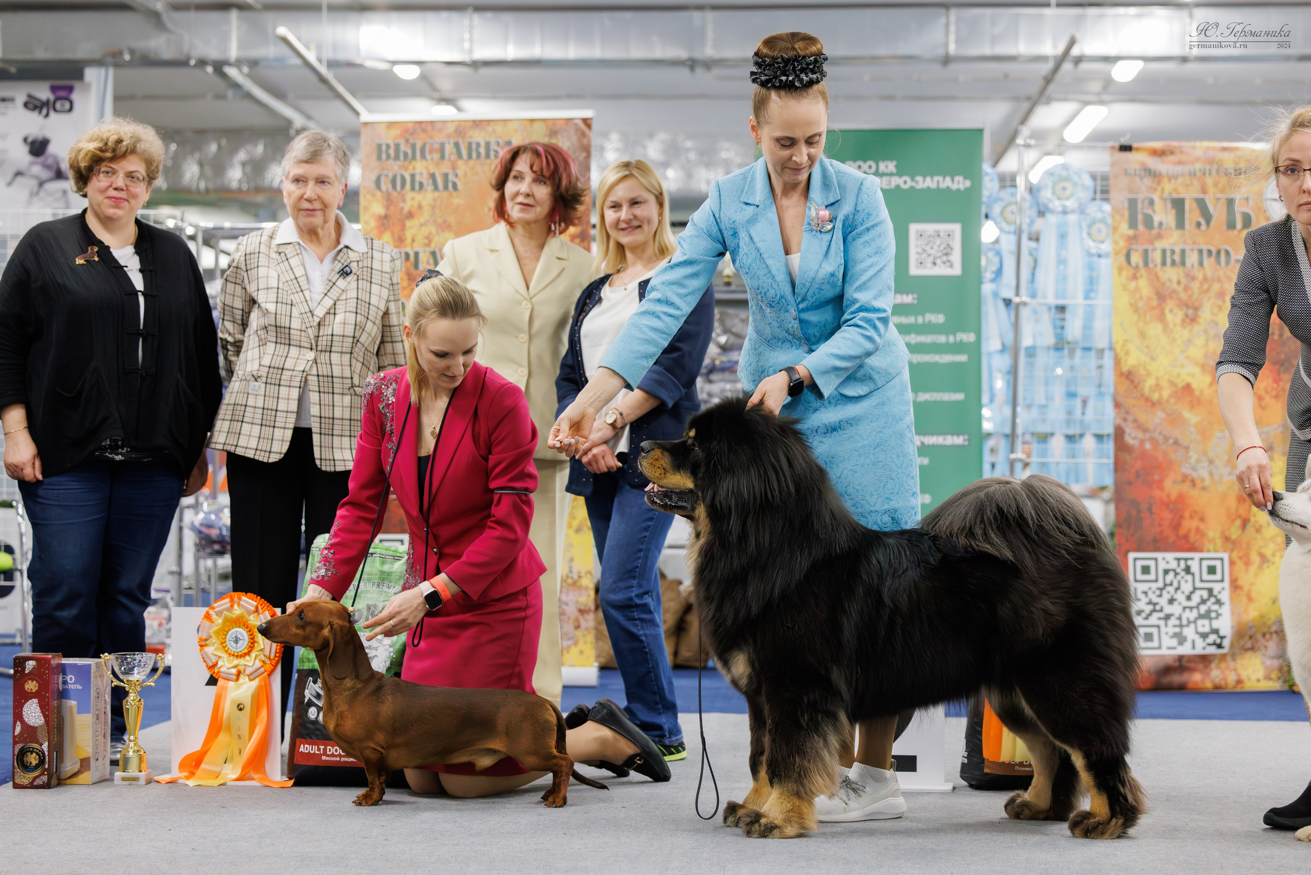 Сфера и Крокус 8,9,16 и 30.03.2025. Фотограф-анималист Юлия Германика