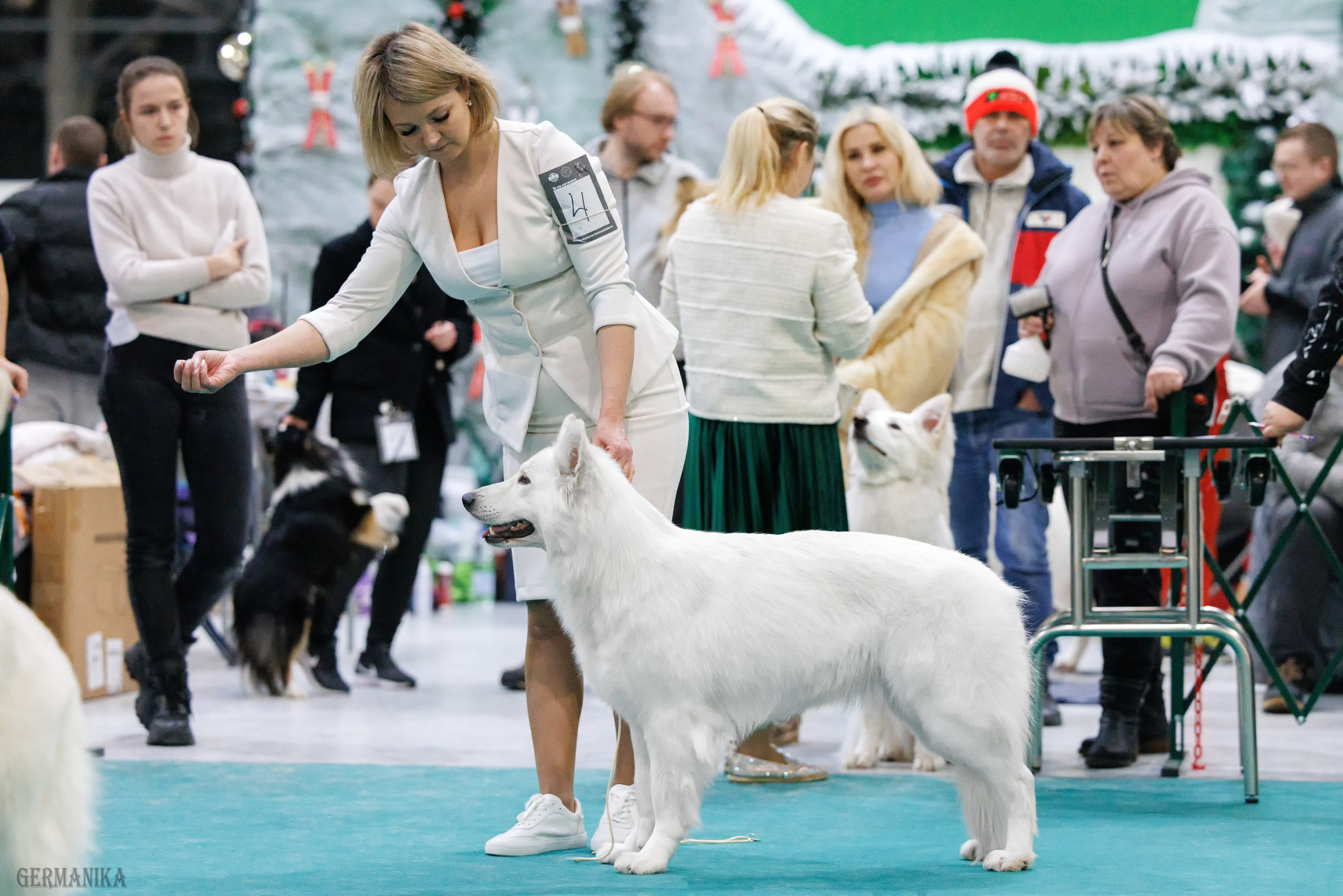 Крокус 10.02,Сфера 11.02.2024. Фотограф-анималист Юлия Германика