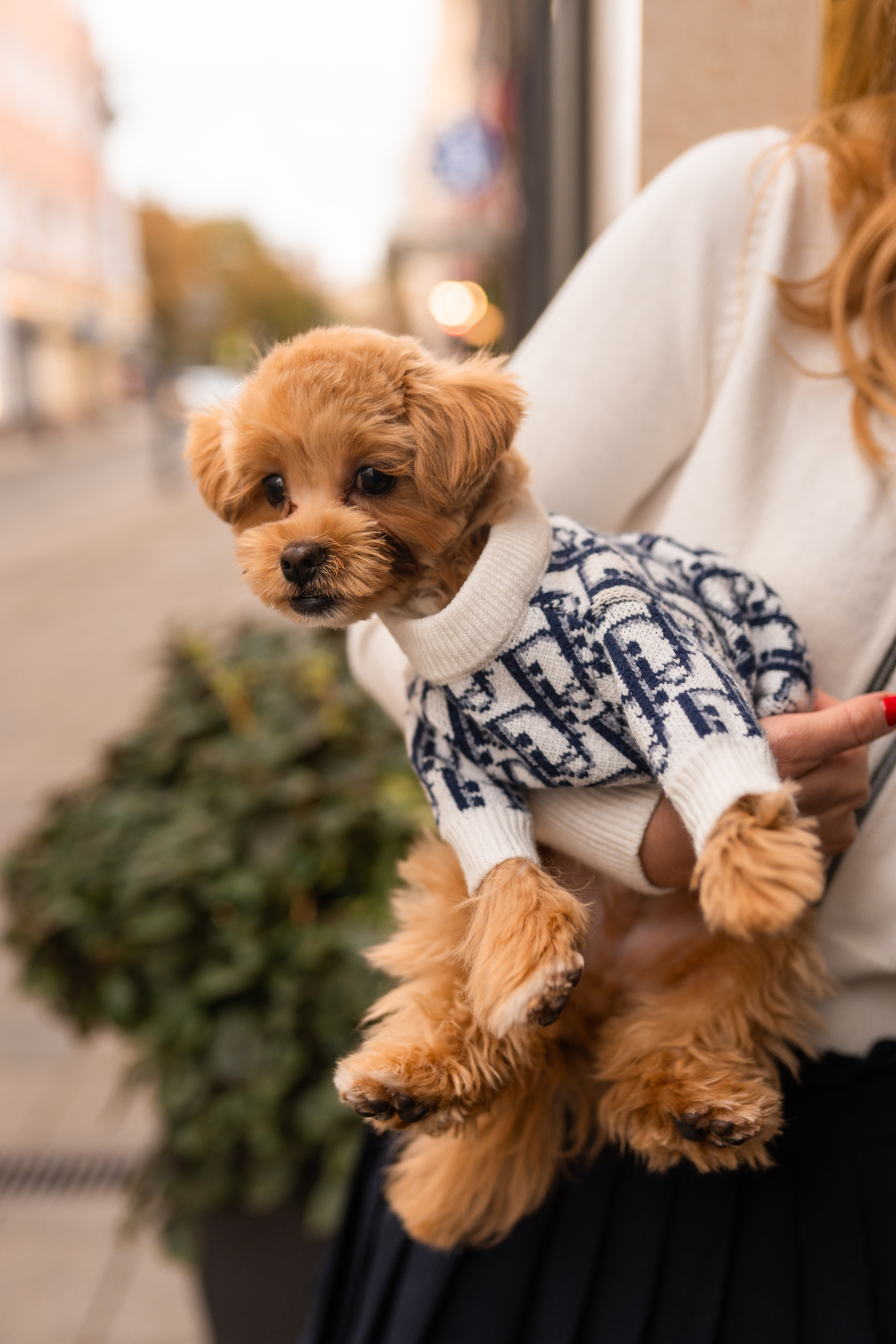 Индивидуальная прогулка на Патриках. Свадебный фотограф в Москве Анна Полушина