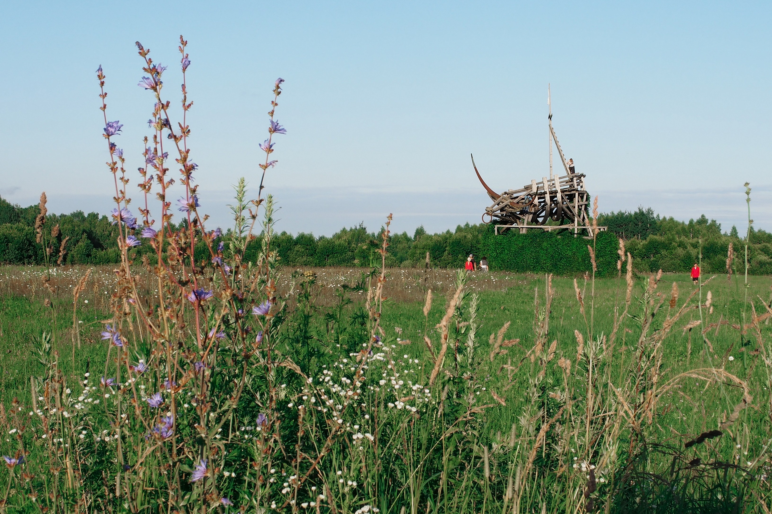 Фестиваль Архстояние. Репортажный и интерьерный фотограф Александра Солдатова