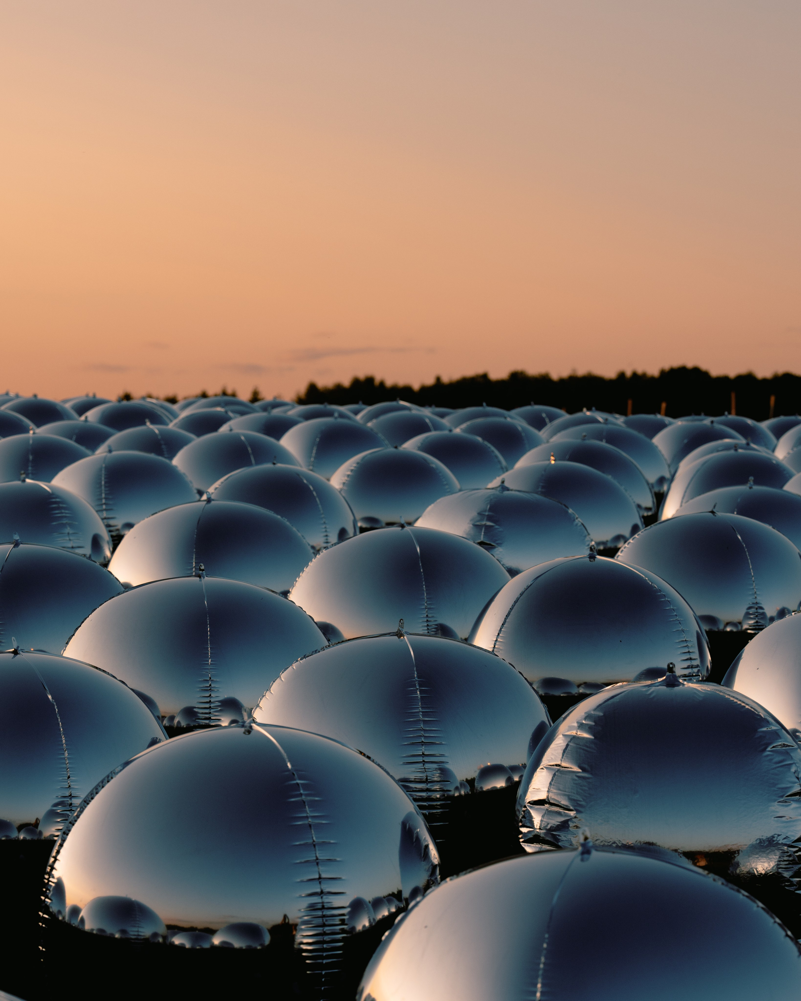 Signal 2024. @tomrus: Рустам Шагиморданов — фотограф