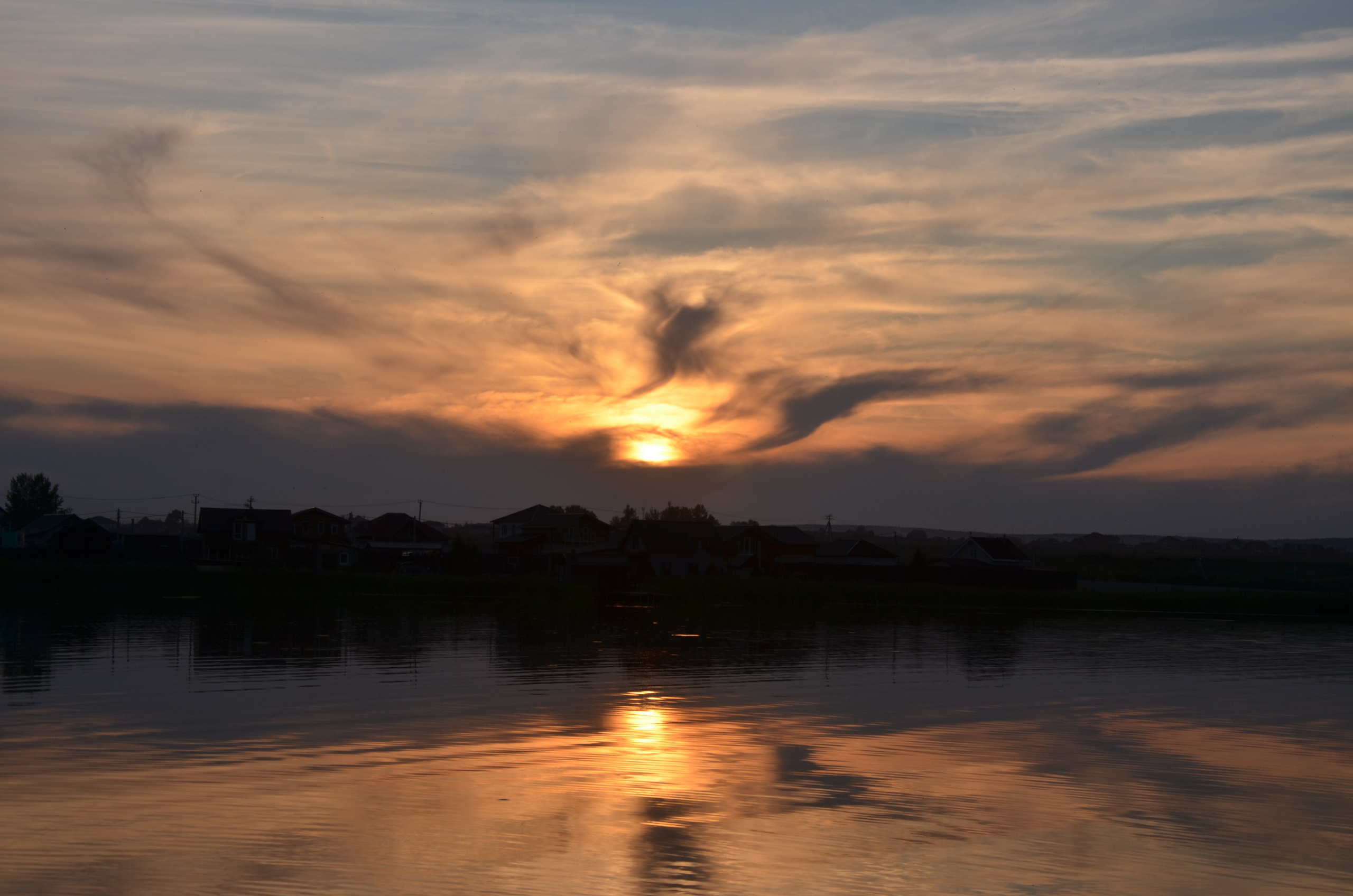 Дары природы. Фотограф viktor viktor