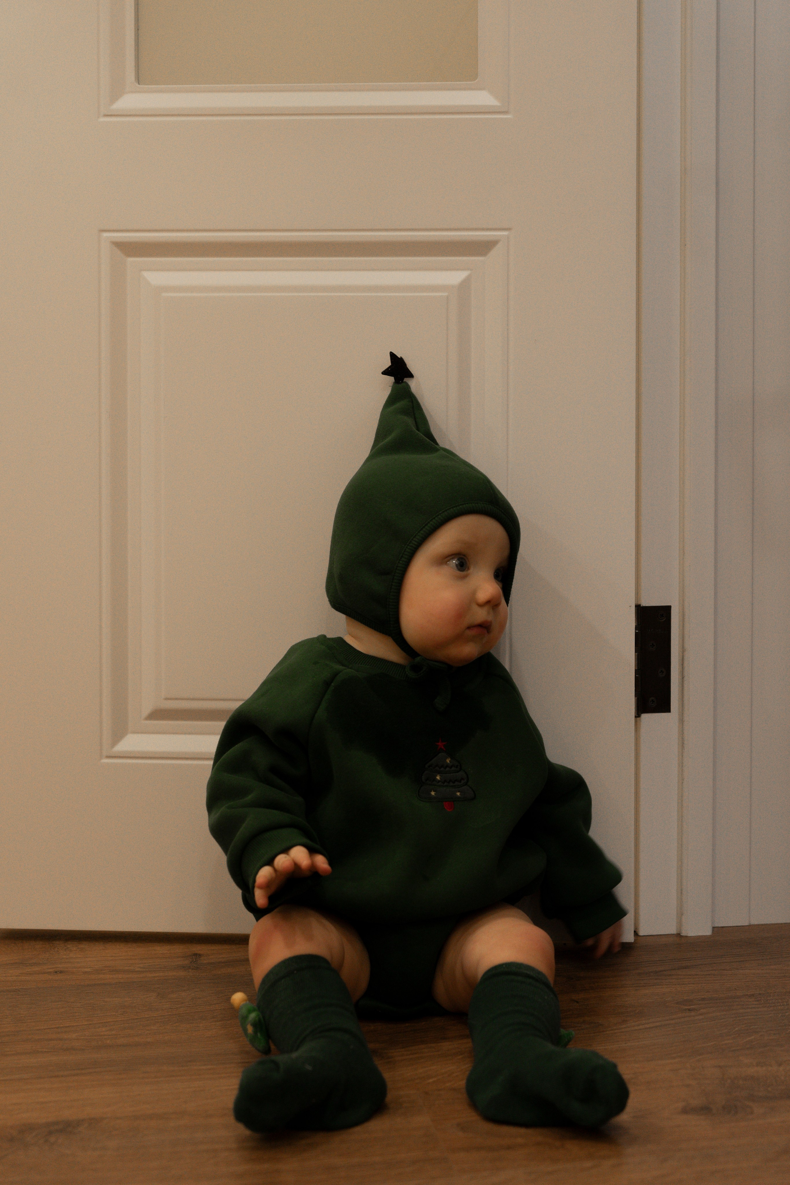 Новогодние тройняшки. Главная