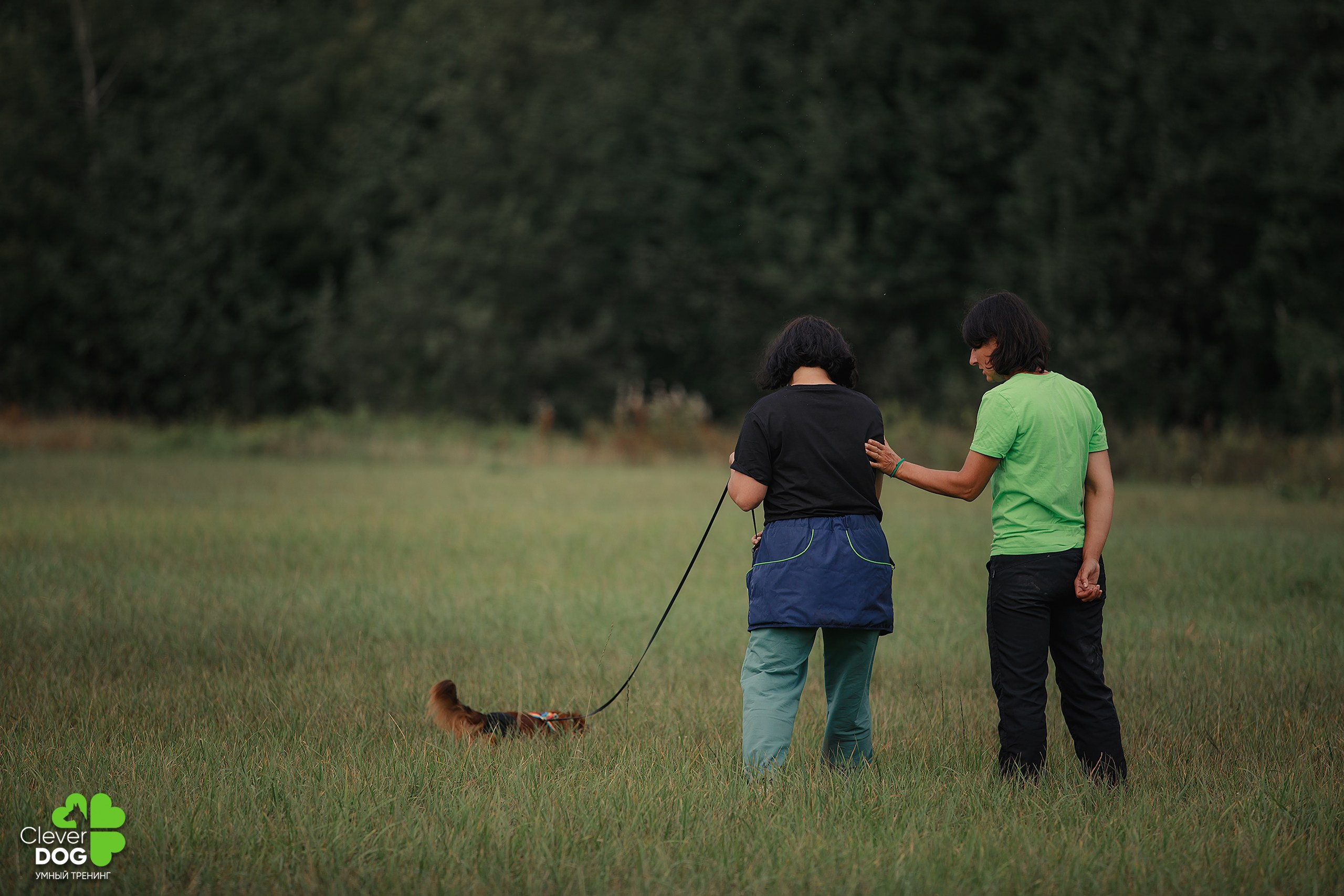 Кинологический лагерь CleverDog, 2024. Фотограф-анималист Mary Mart — Москва, Питер