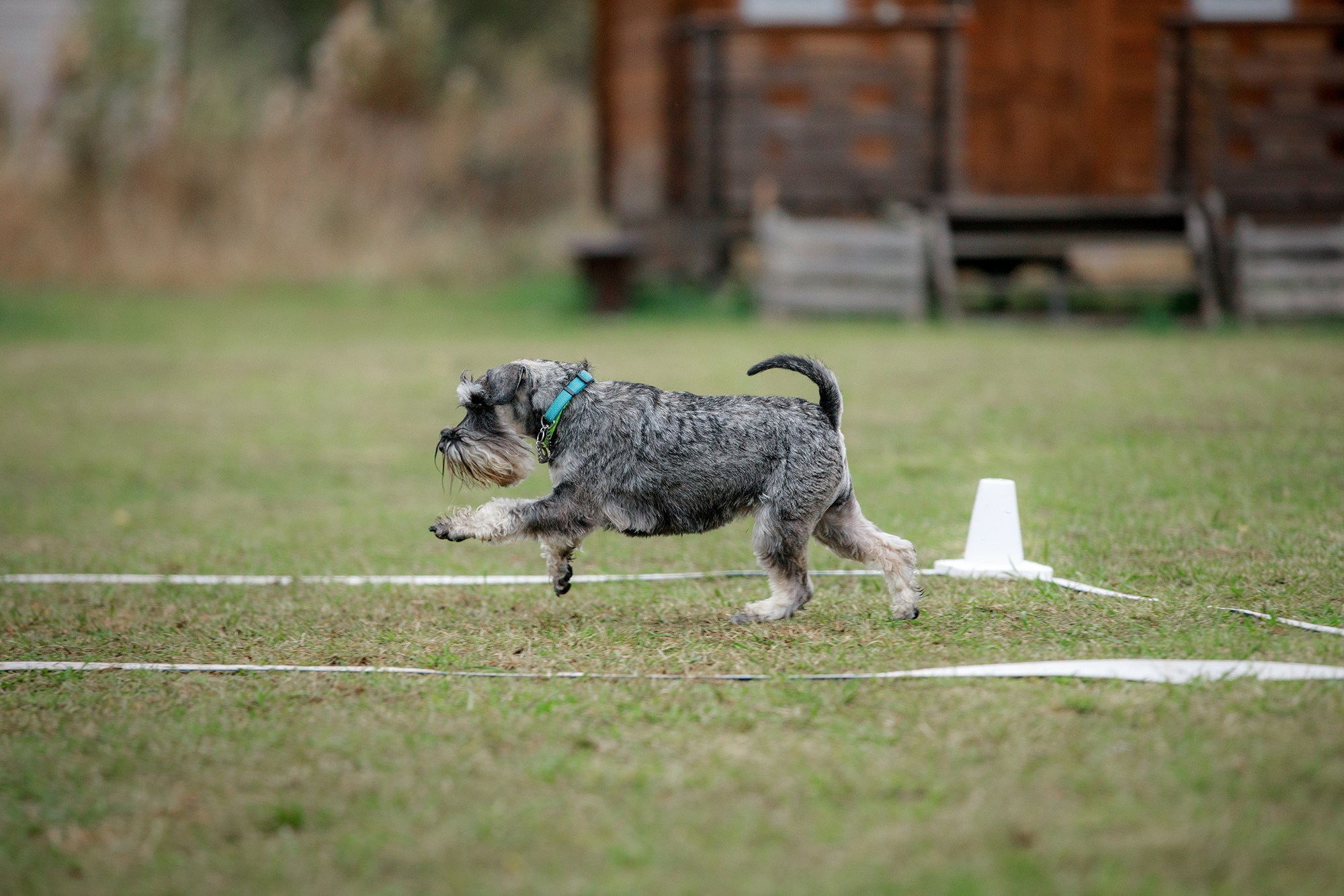 Лагерь по ОБД с Инной Баженовой. Фотограф-анималист Mary Mart — Москва, Питер