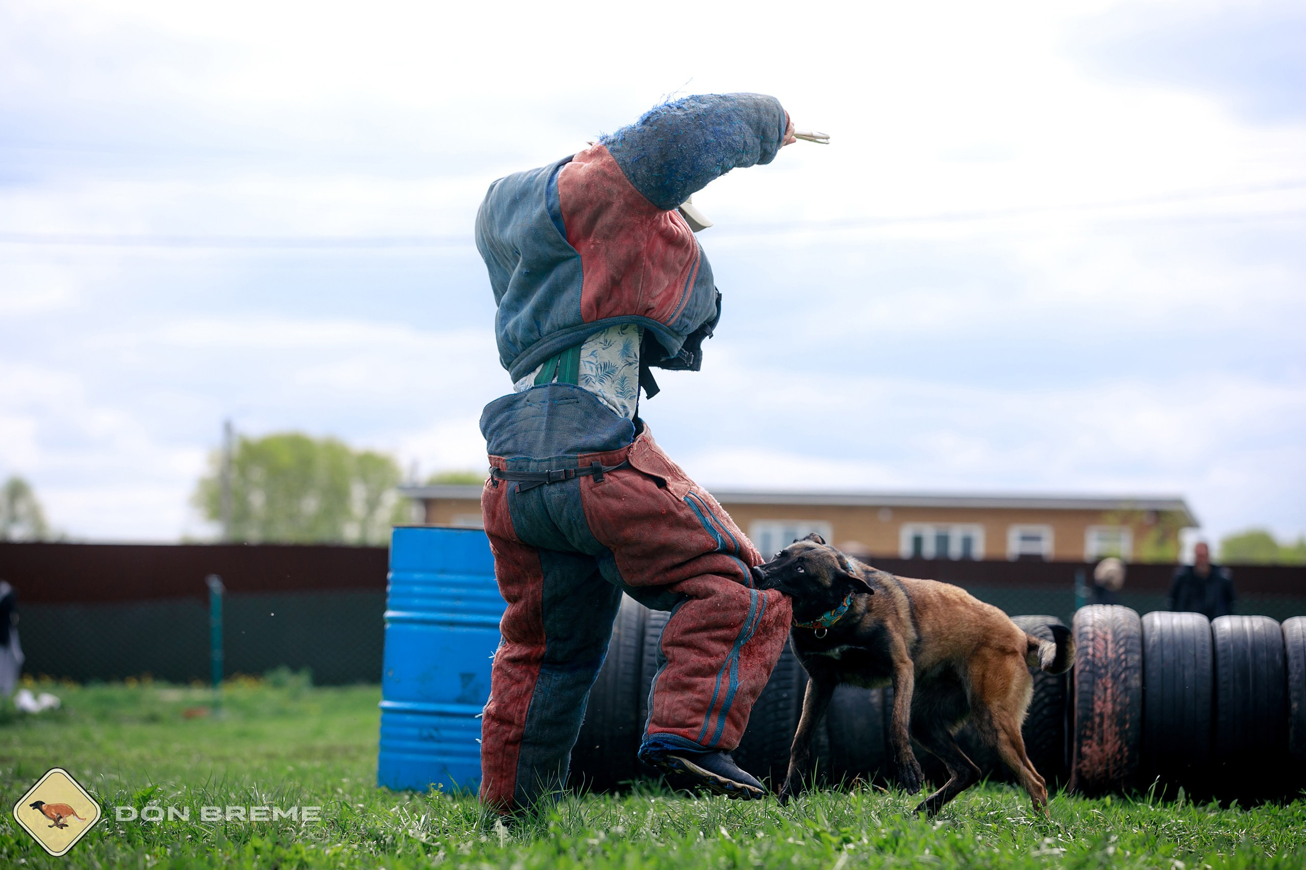 Семинар для фигурантов, день 2. Фотограф-анималист Mary Mart — Москва, Питер