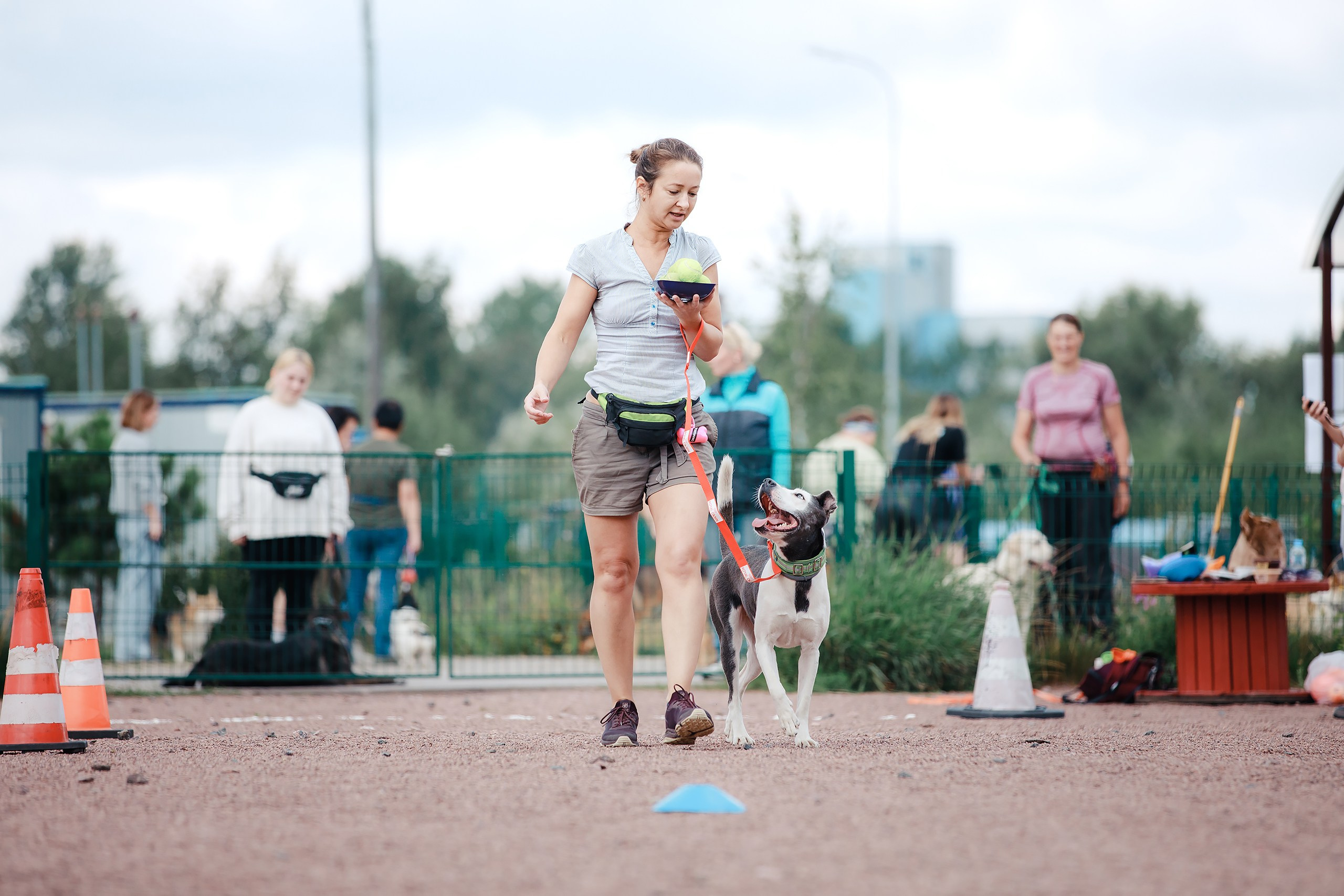 Питч&Гоу + веселые старты. Фотограф-анималист Mary Mart — Москва, Питер