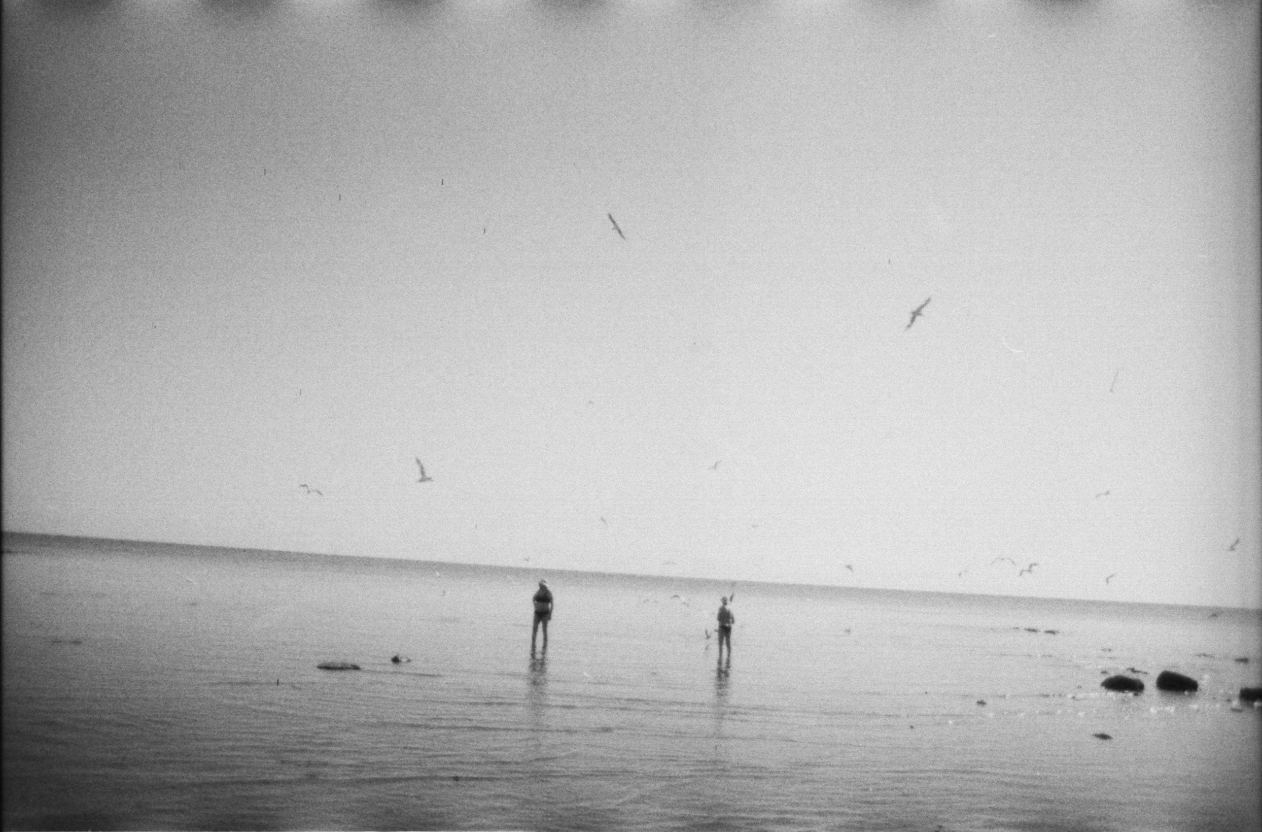 Spaces and faces 2013-∞. Наталья Рутова