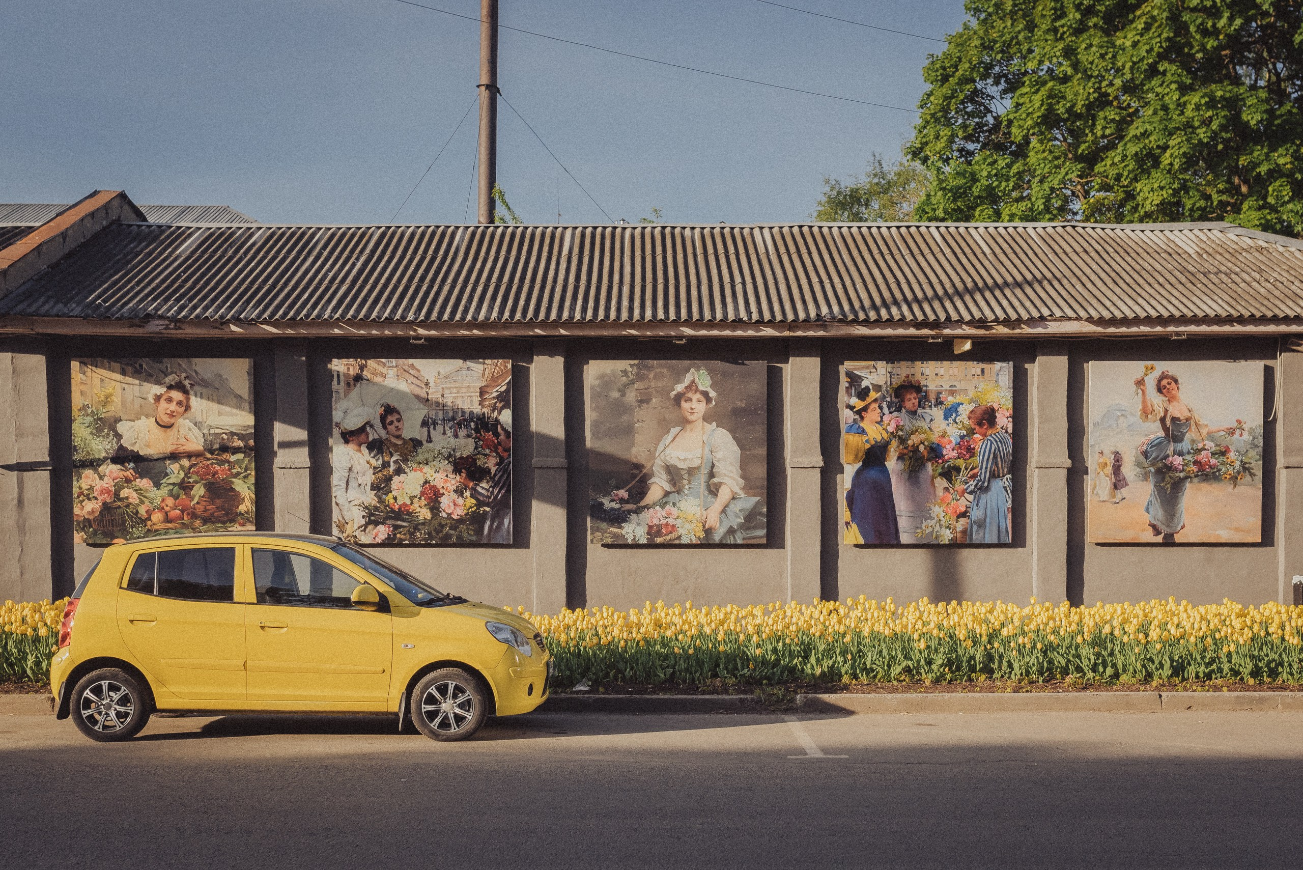 Проект #улицыгорода. Ярославль, ул. Лисицина. Документальный фотограф Илья Тихановский