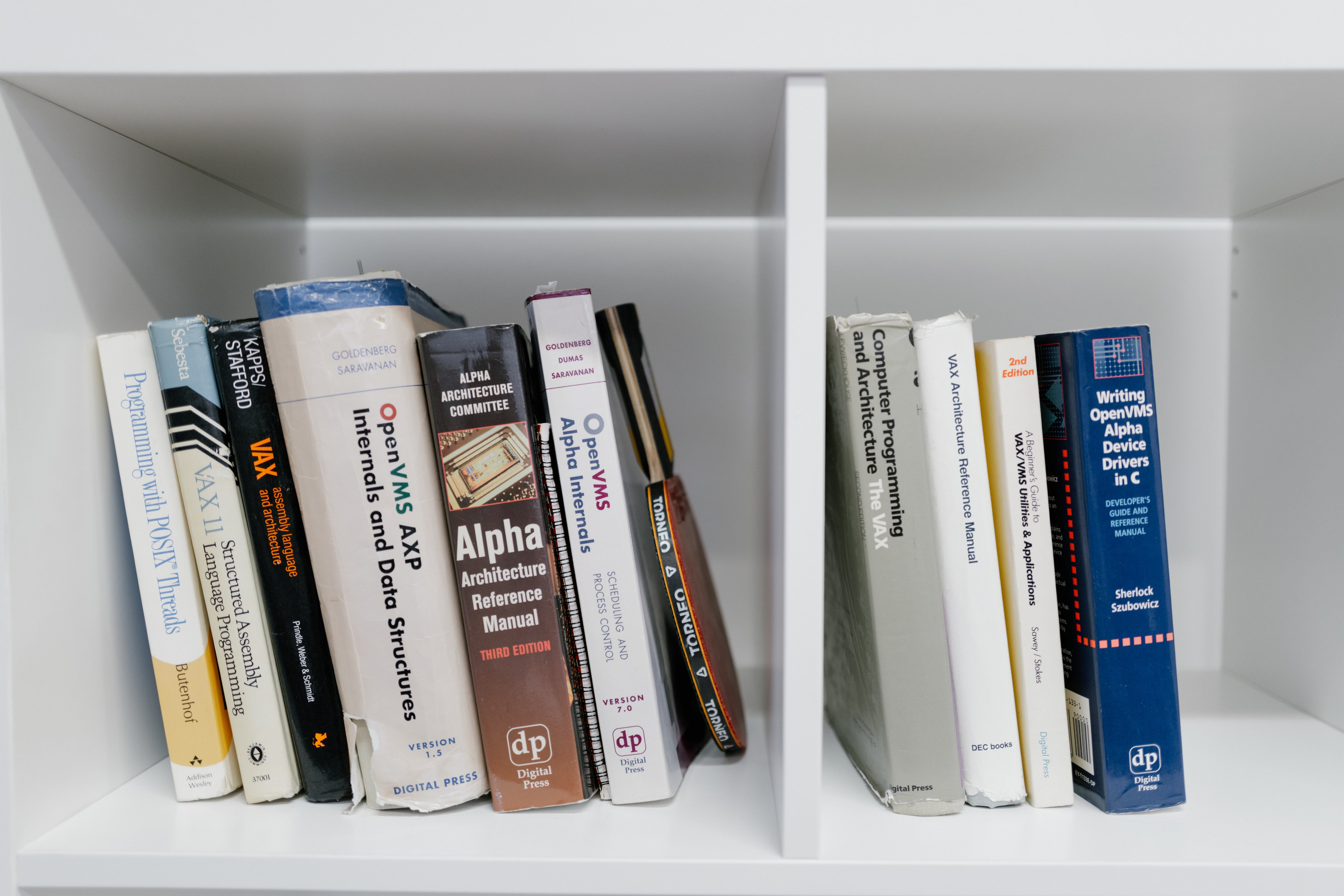 Репортажи. Портретный и репортажный фотограф в Санкт-Петербурге Дарья Сибирякова