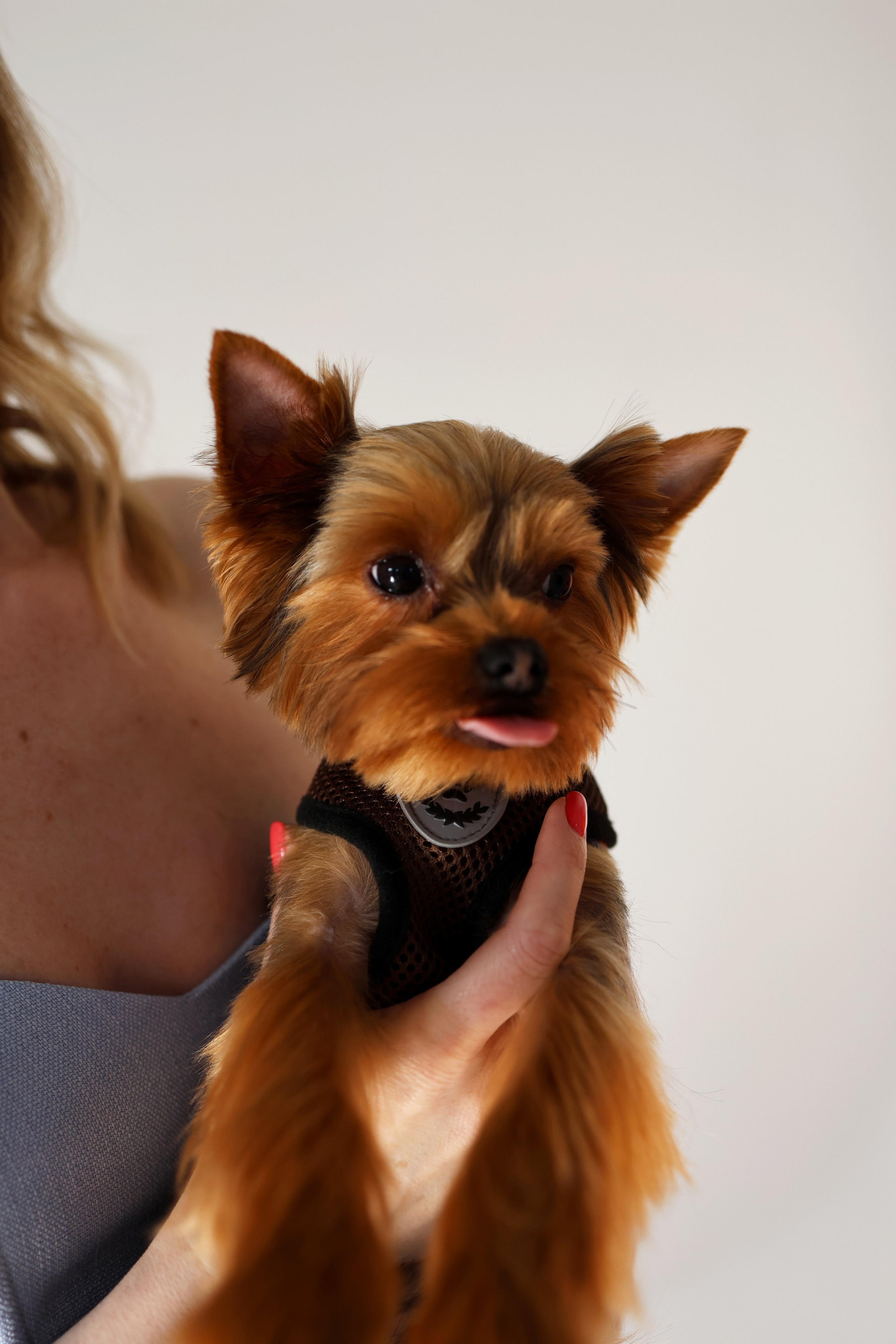 Семья Риты. Свадебный и семейный фотограф в Воронеже Ксения Воротникова