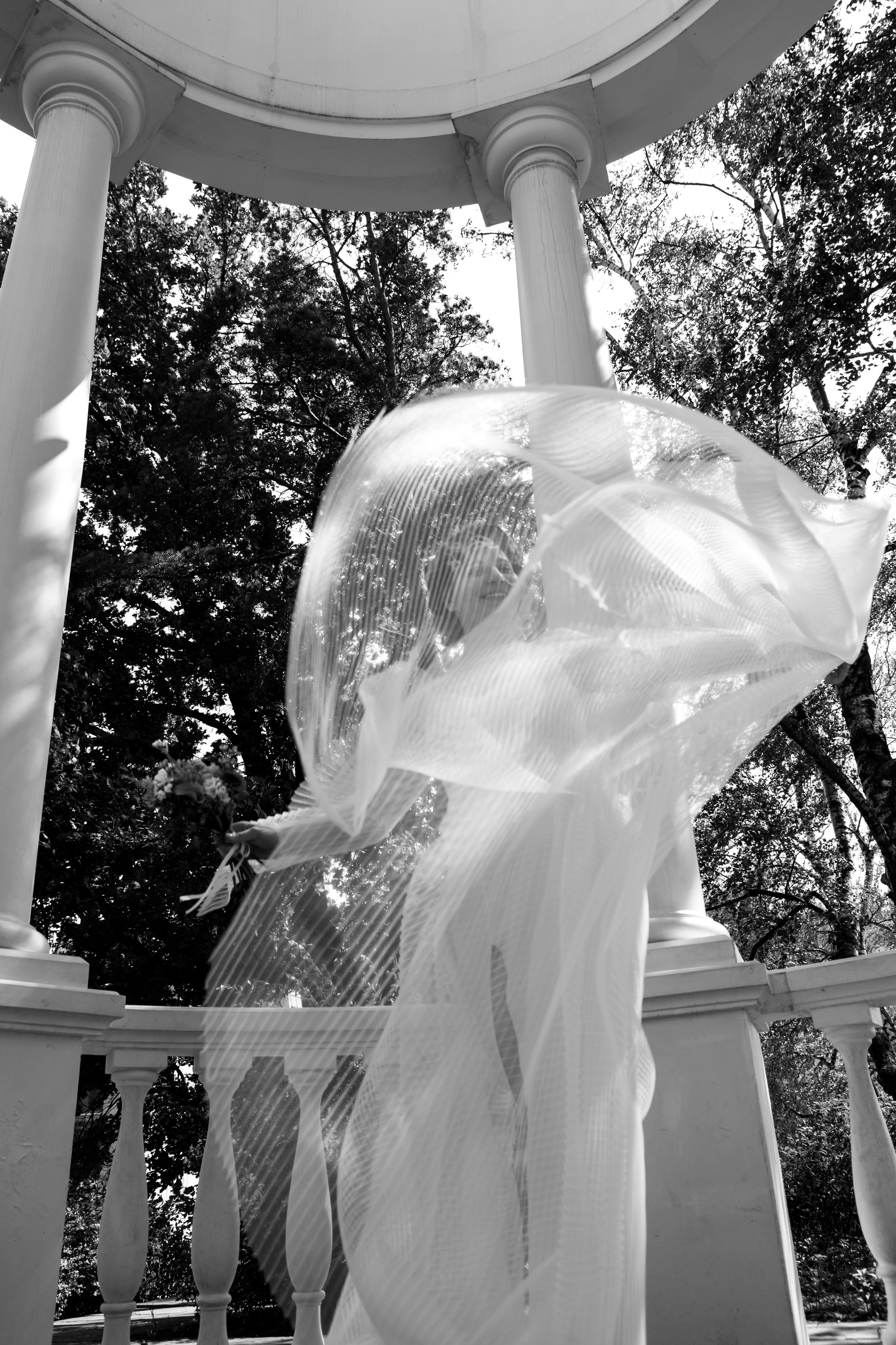 Свадьба и мероприятия. Фотограф Анастасия Чеботарева