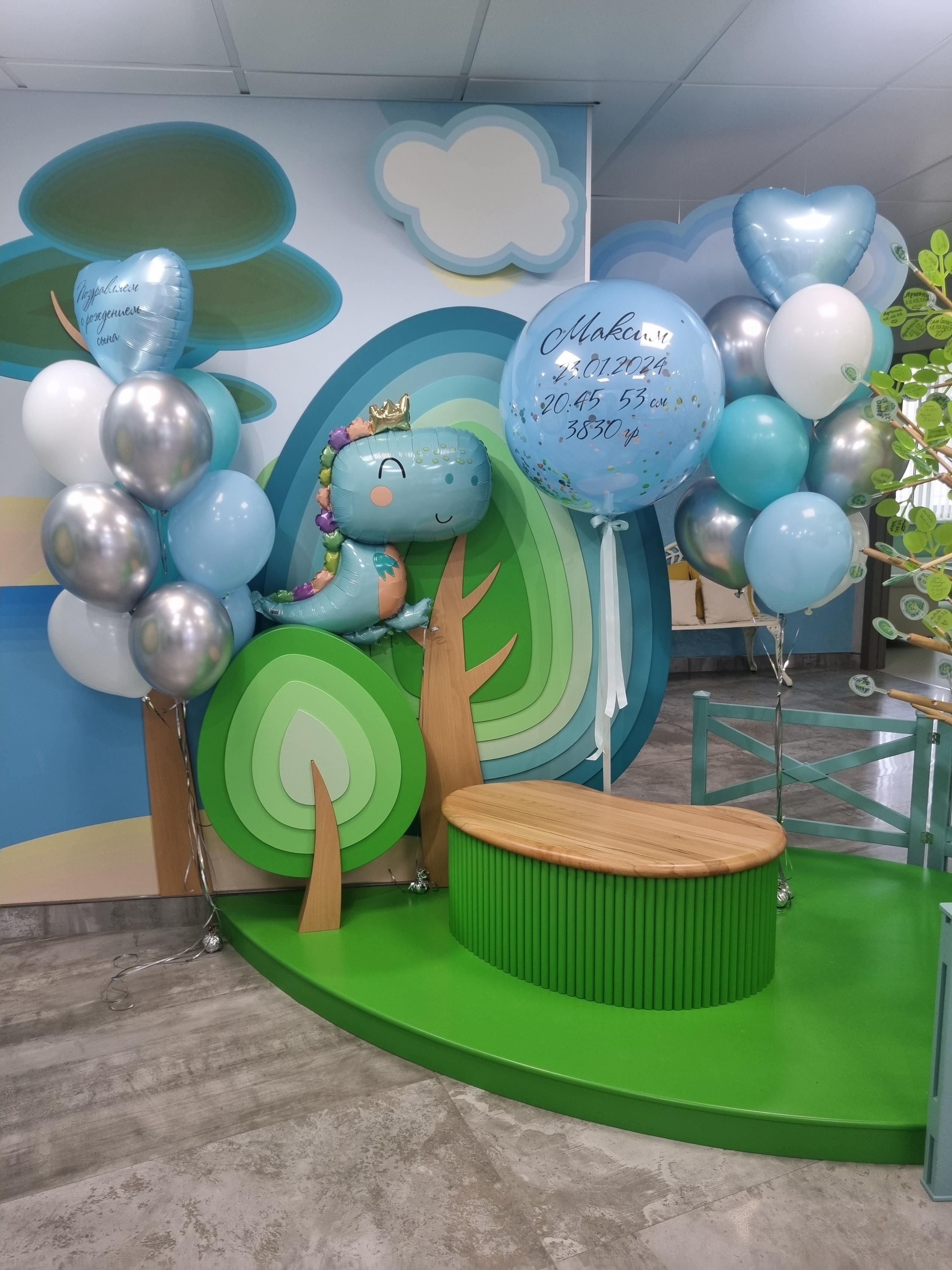 Фотограф в роддоме Сестрорецком г. Санкт-Петербург Банасиковская Ксения