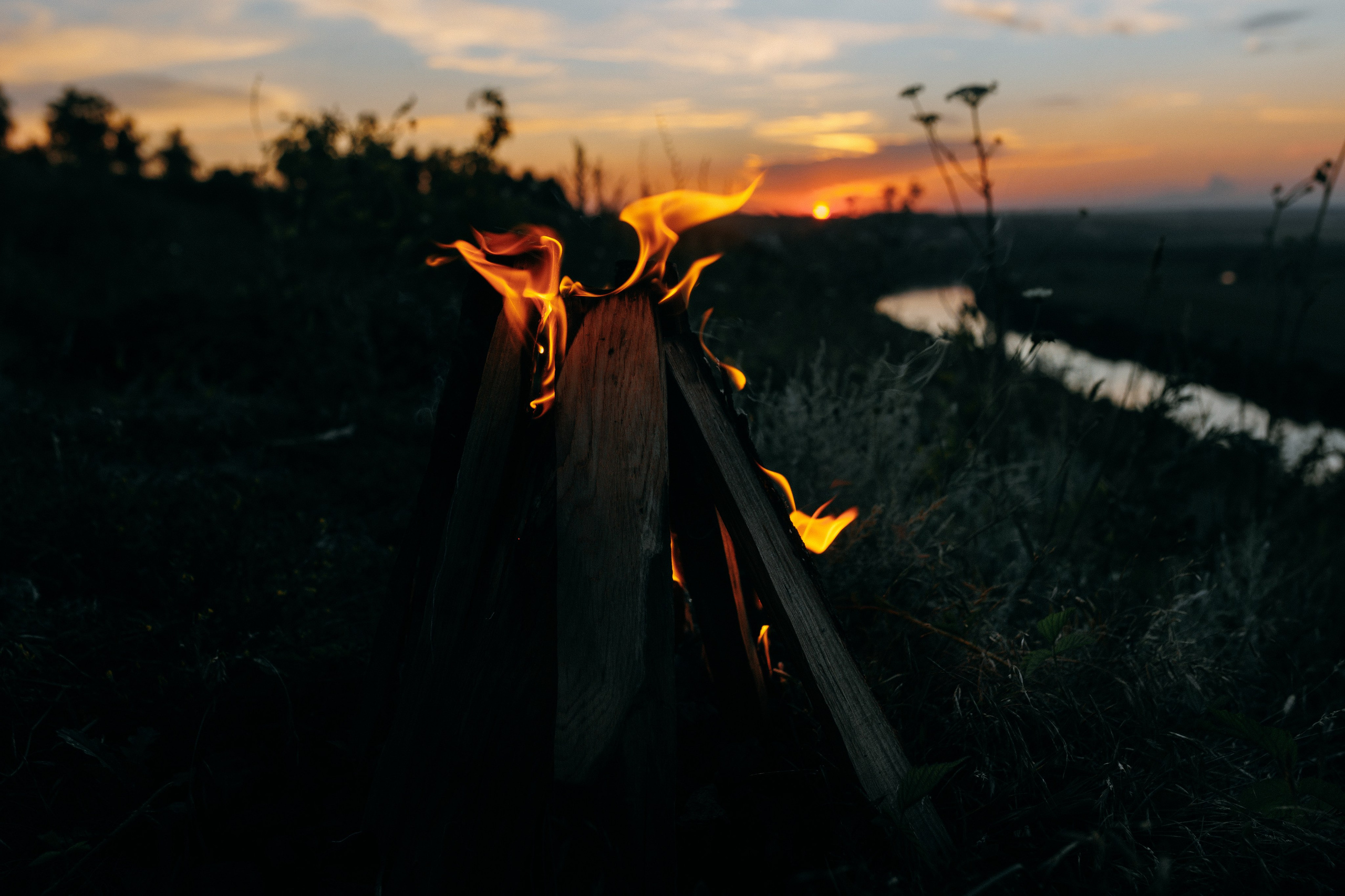 Элли и Лёша. Алена Бадамшина — свадебный фотограф Воронеж / Москва