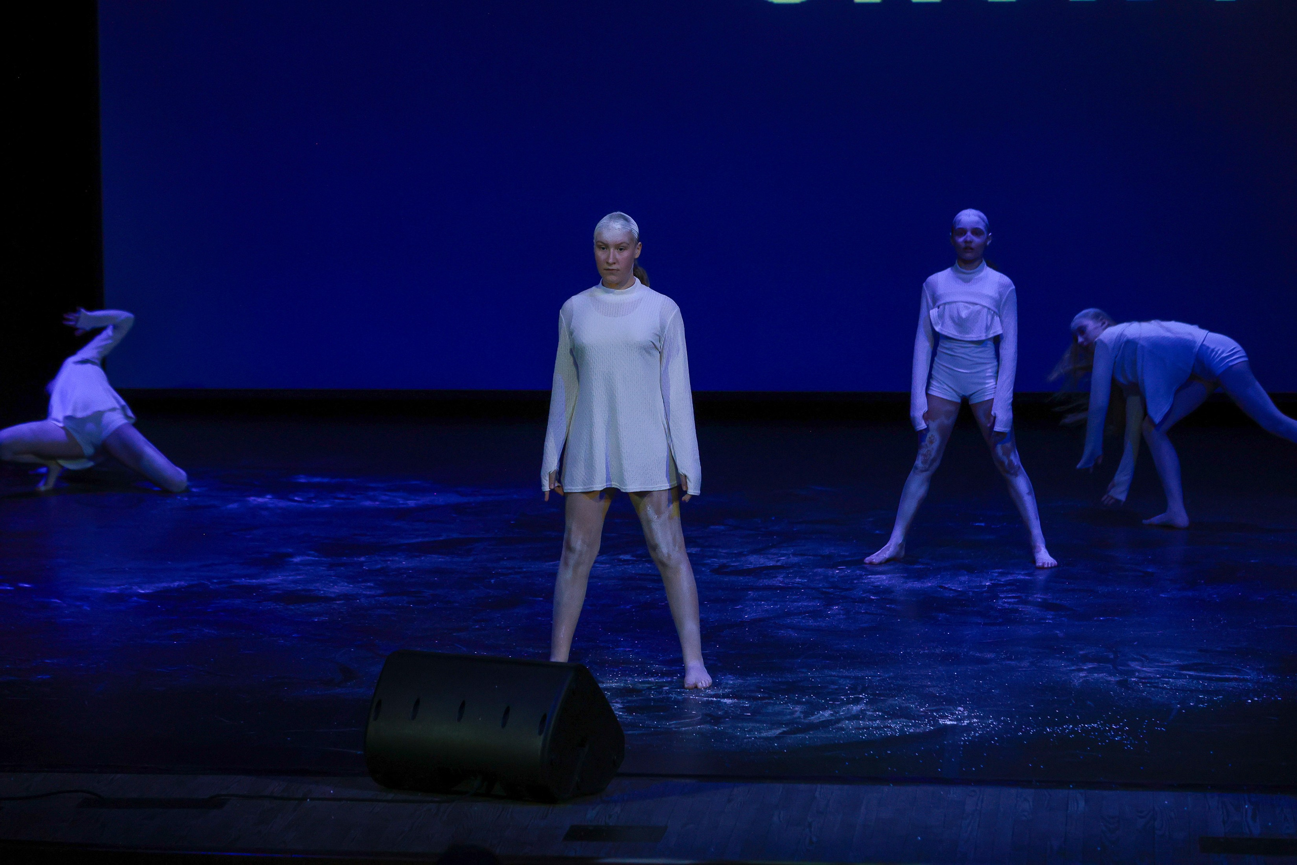 Небесные ласточки на Танц ЭКСПО 2026. Фотограф Юлия Мальцева