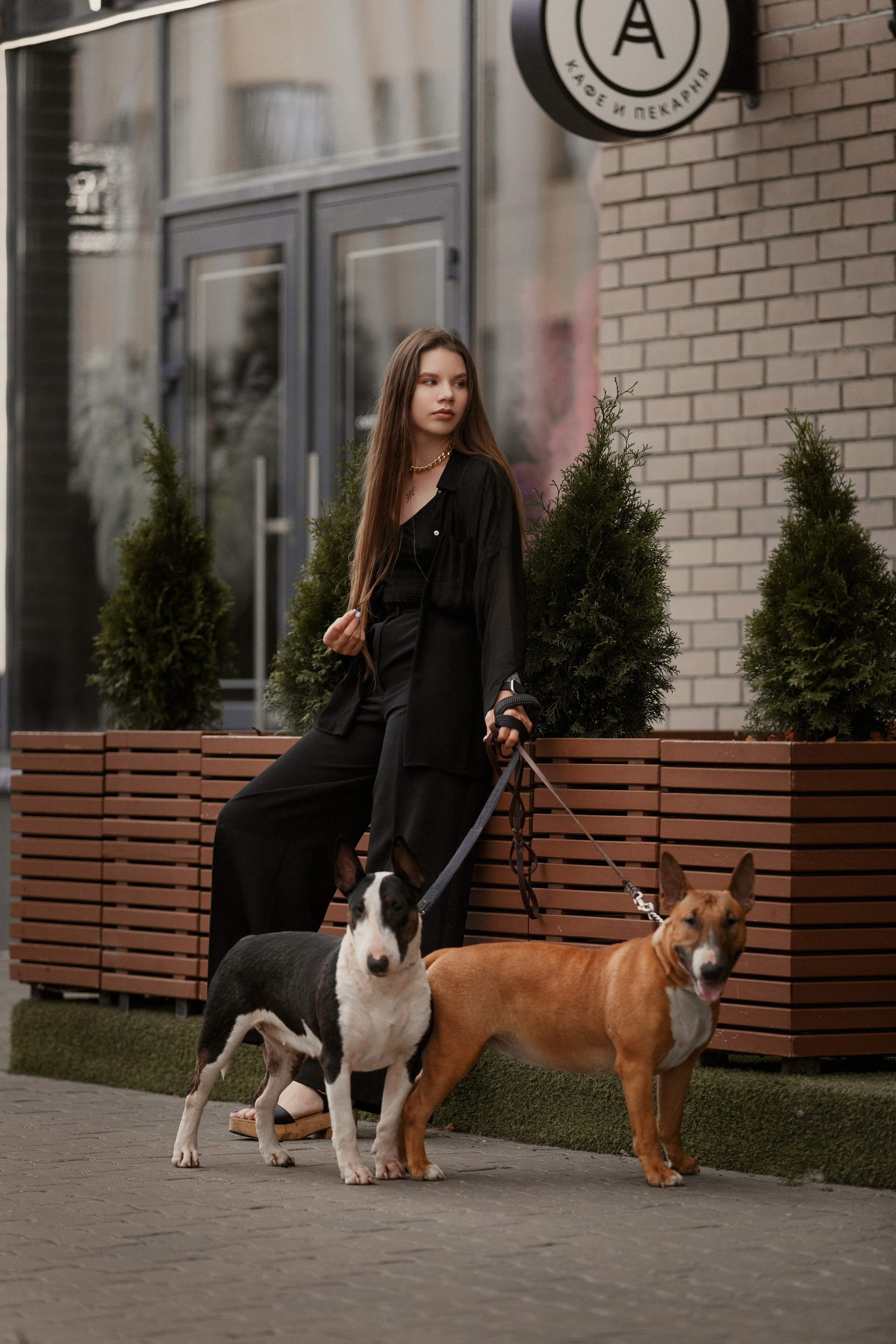 Фотосессии с вашими любимцами. Фотограф Артемьева Катерина|фотосессии с лошадьми