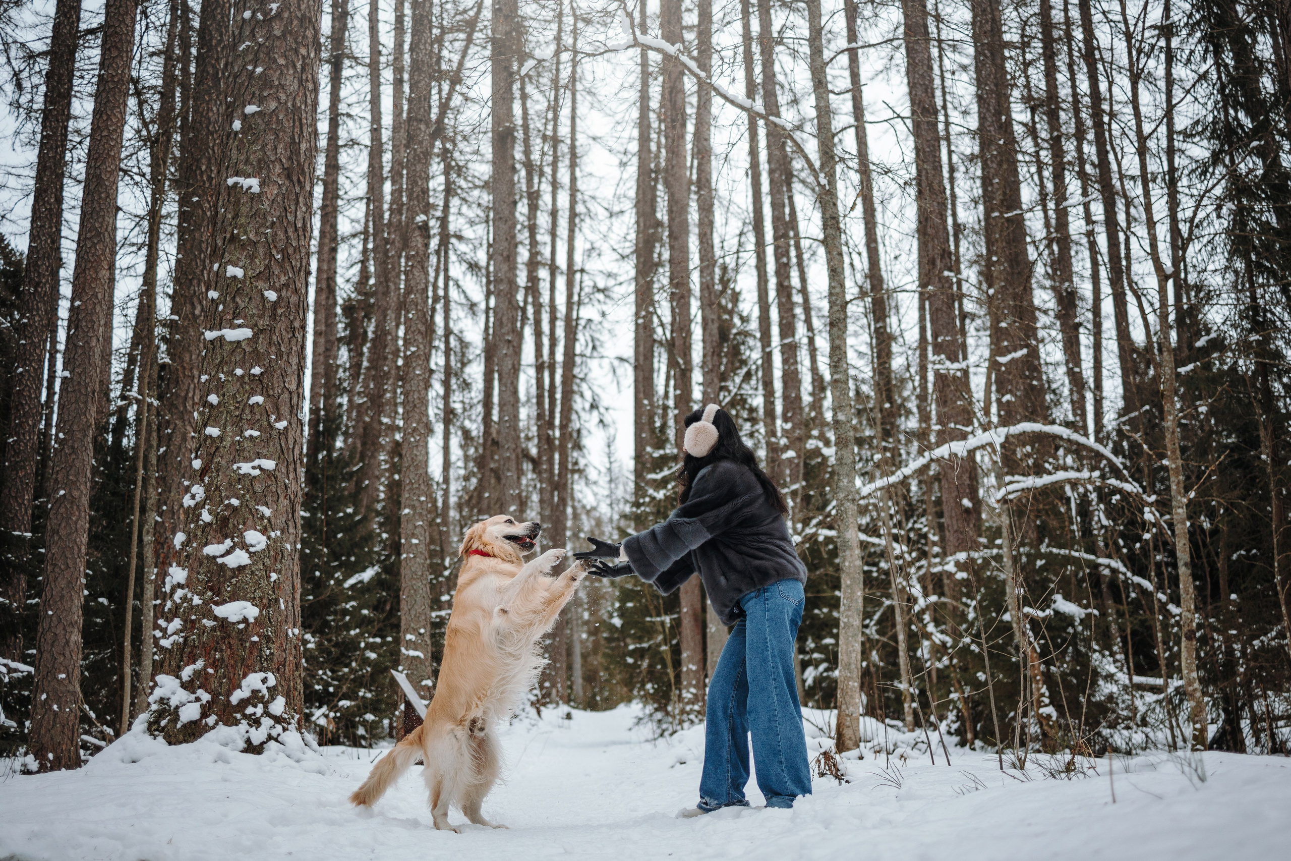 Вика и Лёва. Фотограф — Анималист | Санкт-Петербург