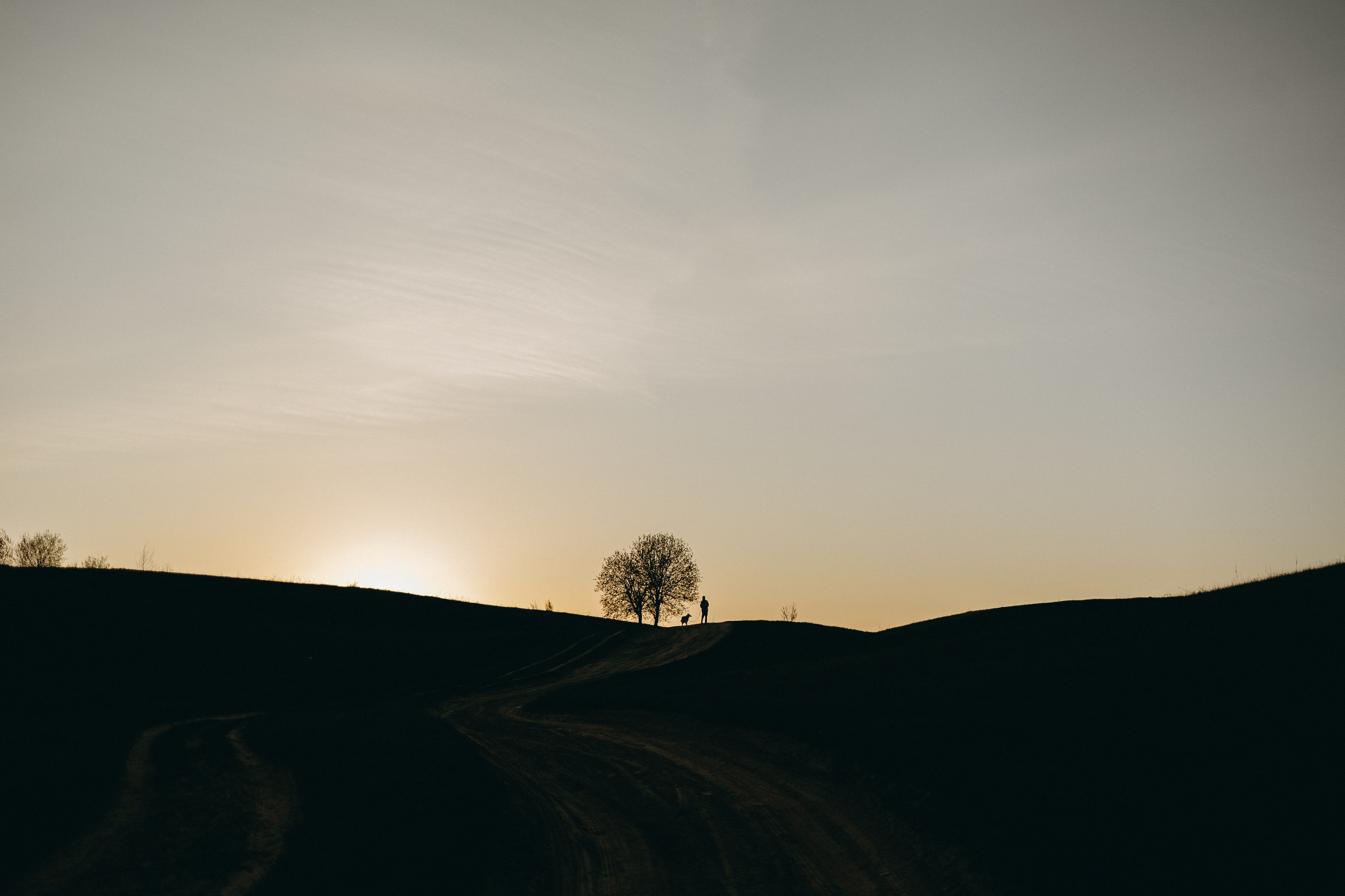 Саша и Зельда. Фотограф — Анималист | Санкт-Петербург