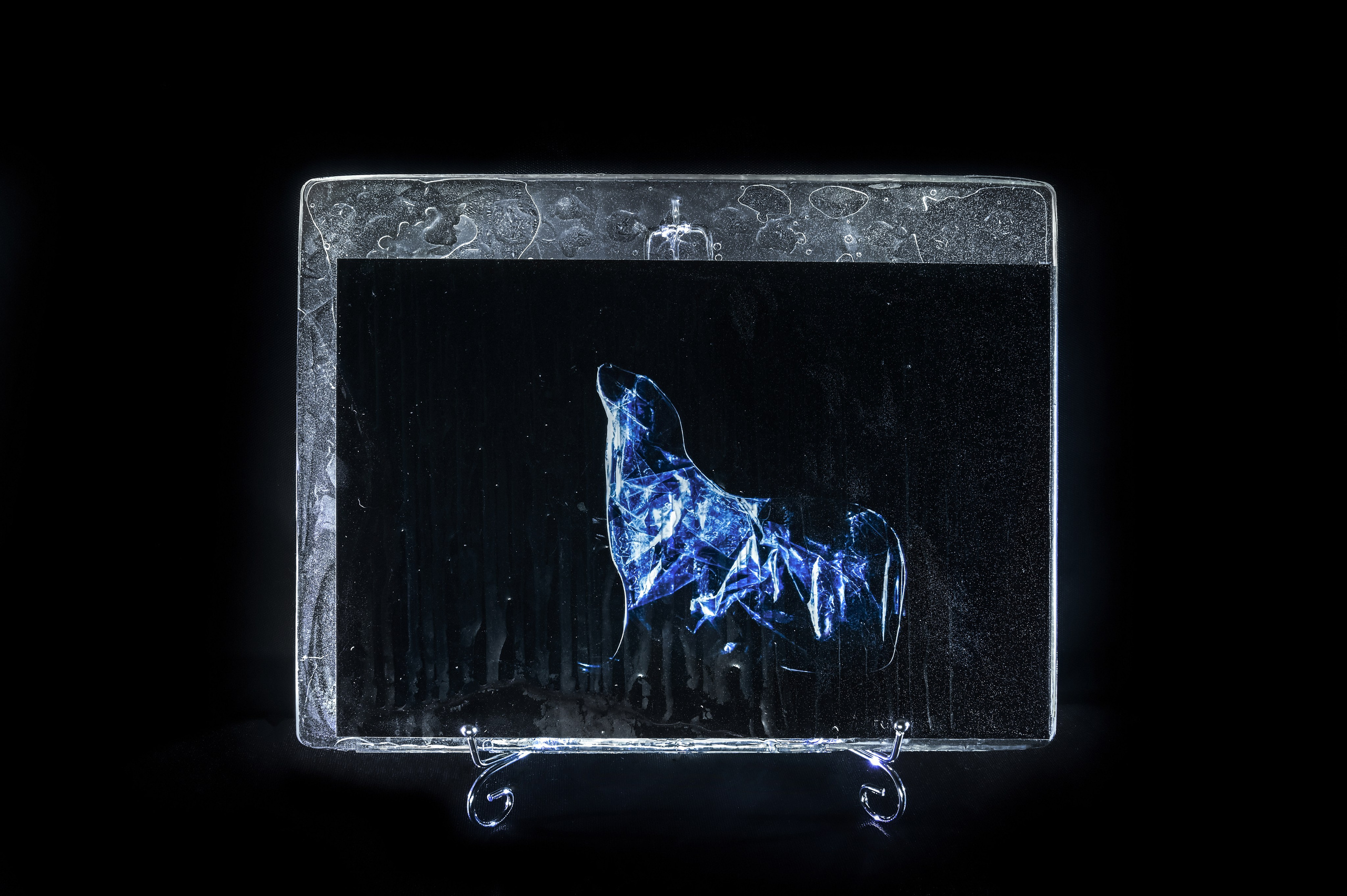 Японский морской лев. 2024 год. Размер : 30 см на 40 см. LightJet бумага Pearl, ламинация хол.глянцевая, накатка Dibond, эпоксидная смола. Цена по запросу