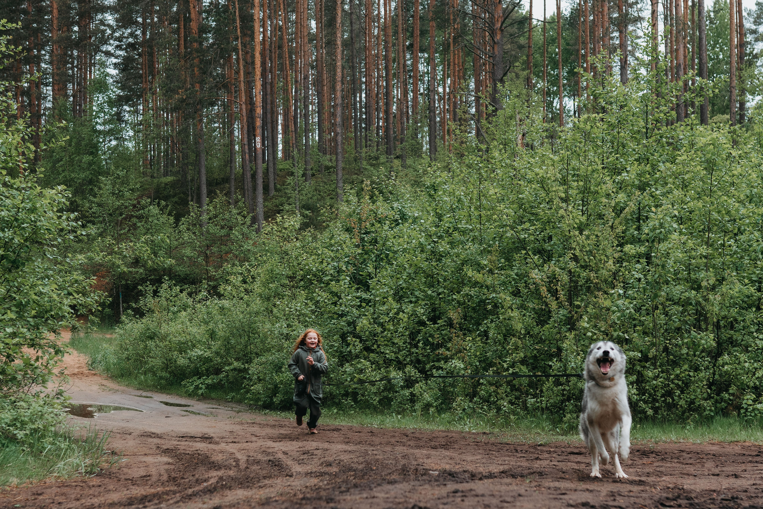 Хепоярви. Фотограф-анималист в Санкт-Петербурге