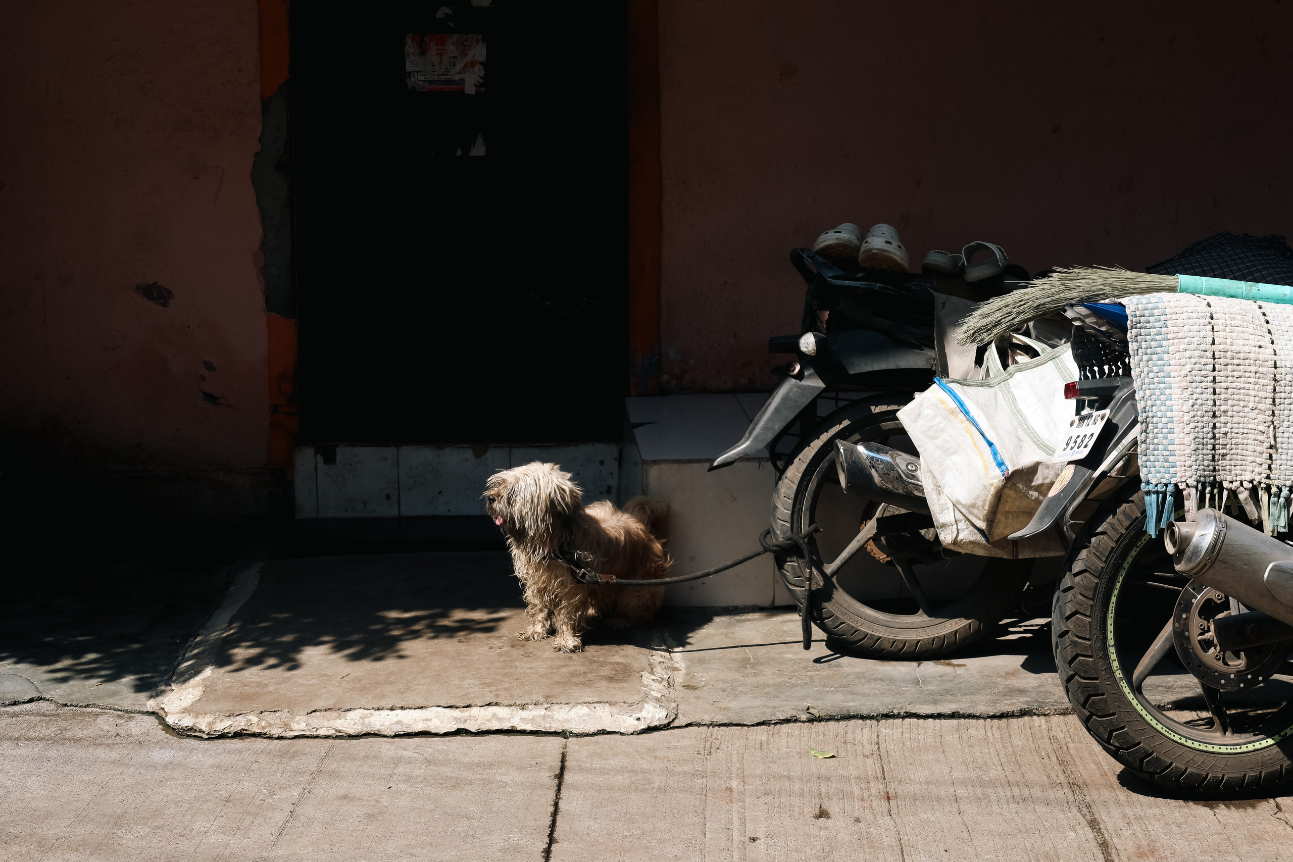 India. Фотограф в Москве