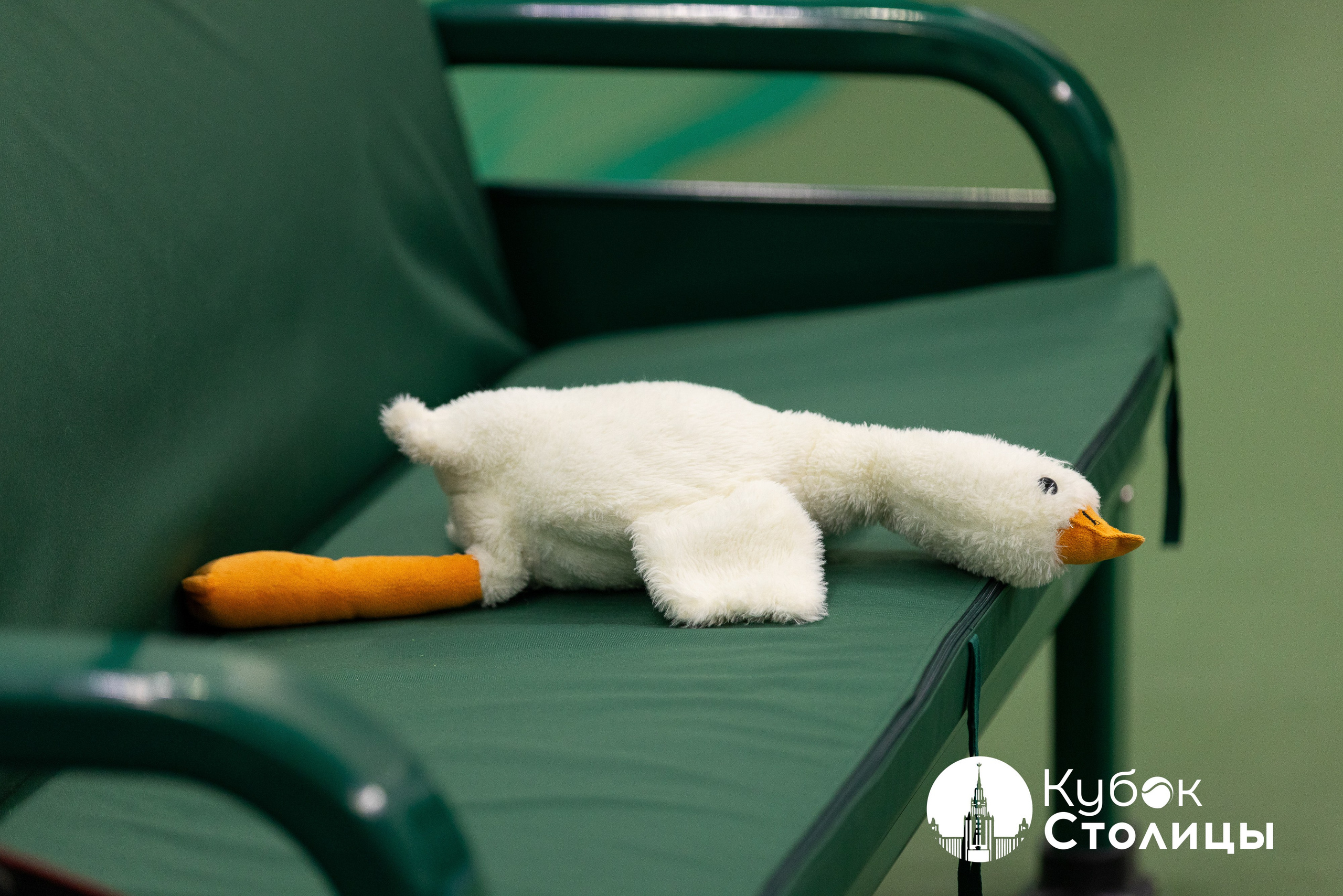 "Кубок столицы" в Лужниках, ALT 10s // 23 марта 2025. Спортивный фотограф Алексей Соломин