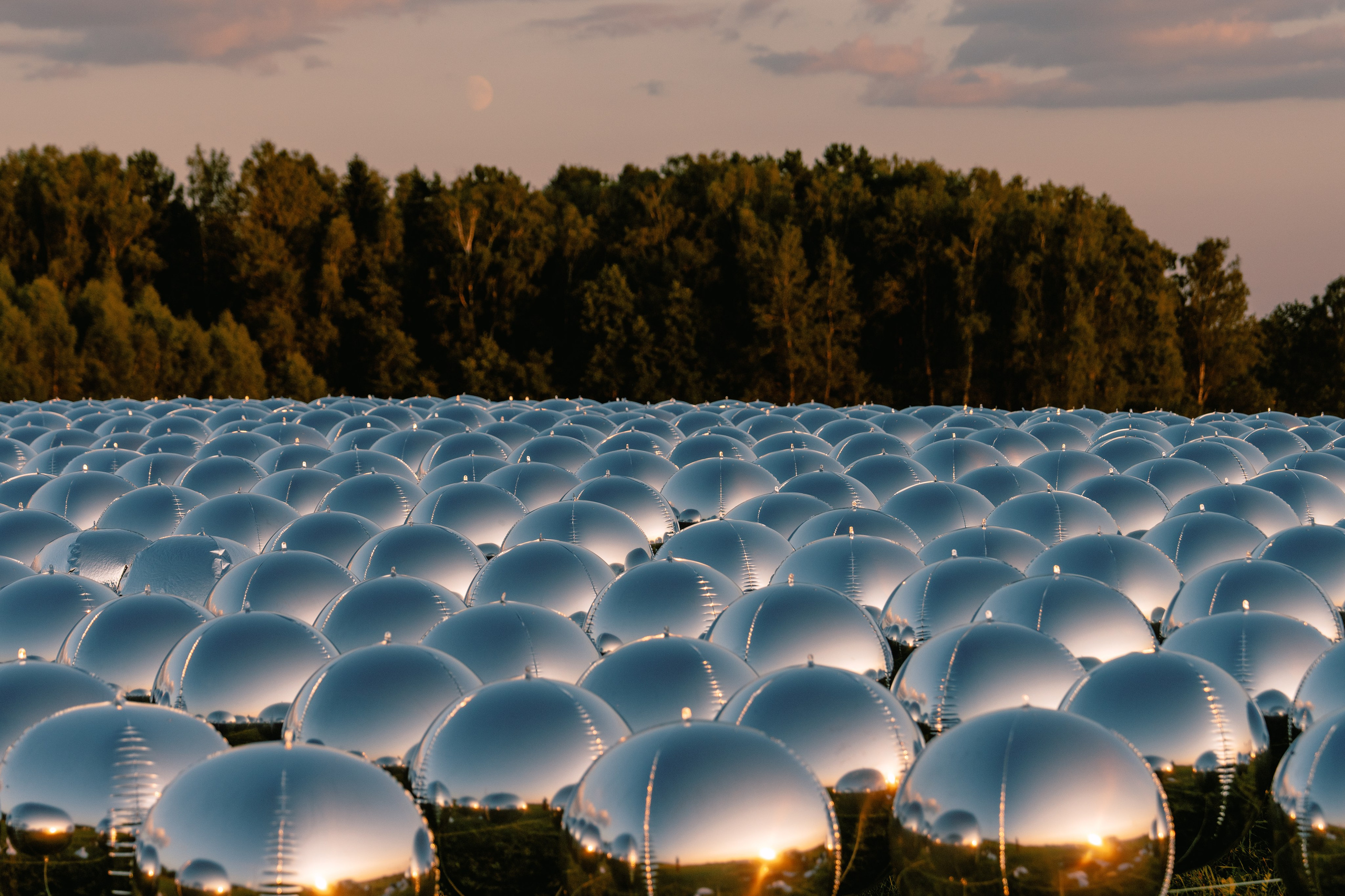 Signal 2024. @tomrus: Рустам Шагиморданов — фотограф