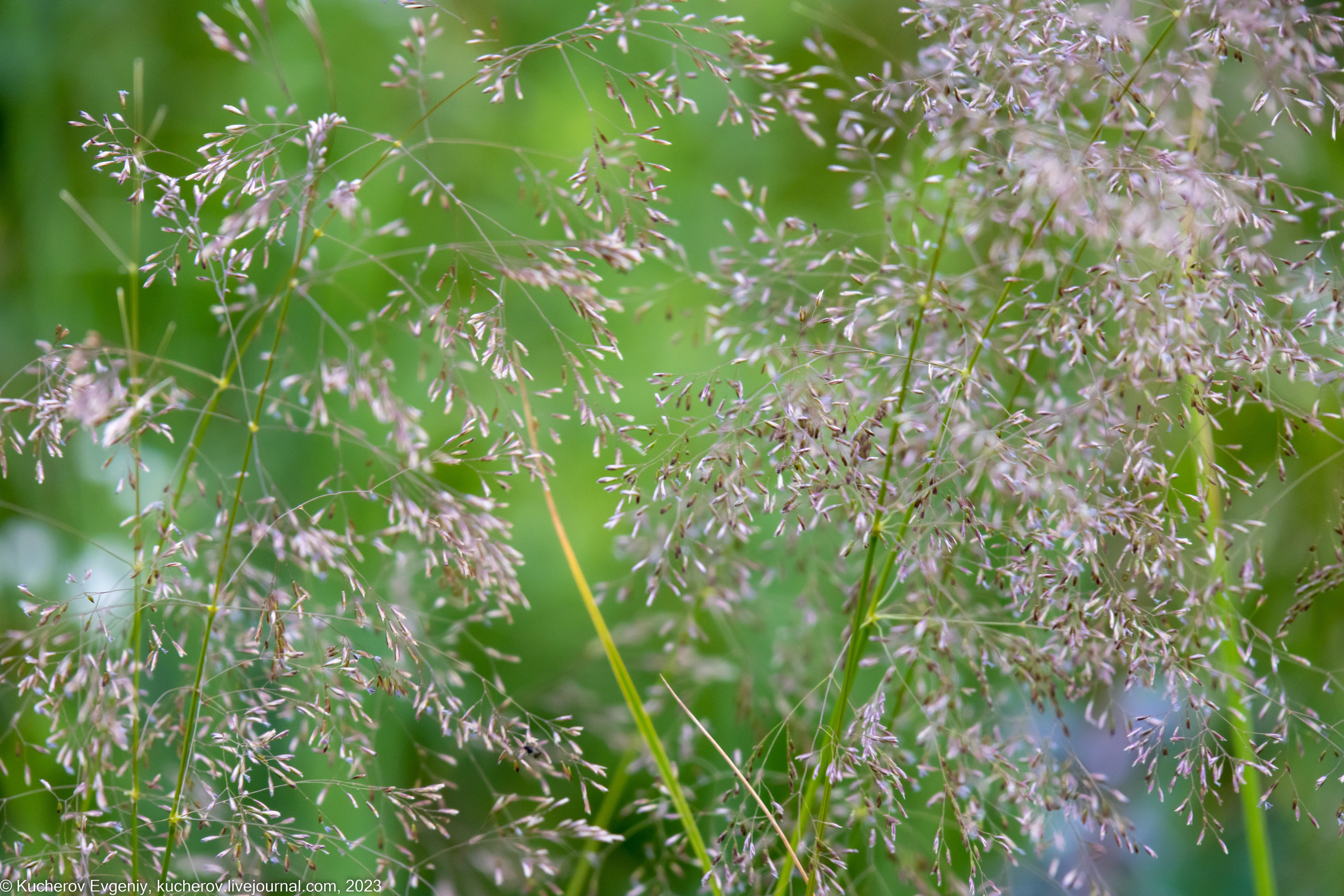Природа. Кучеров Евгений. Фотограф
