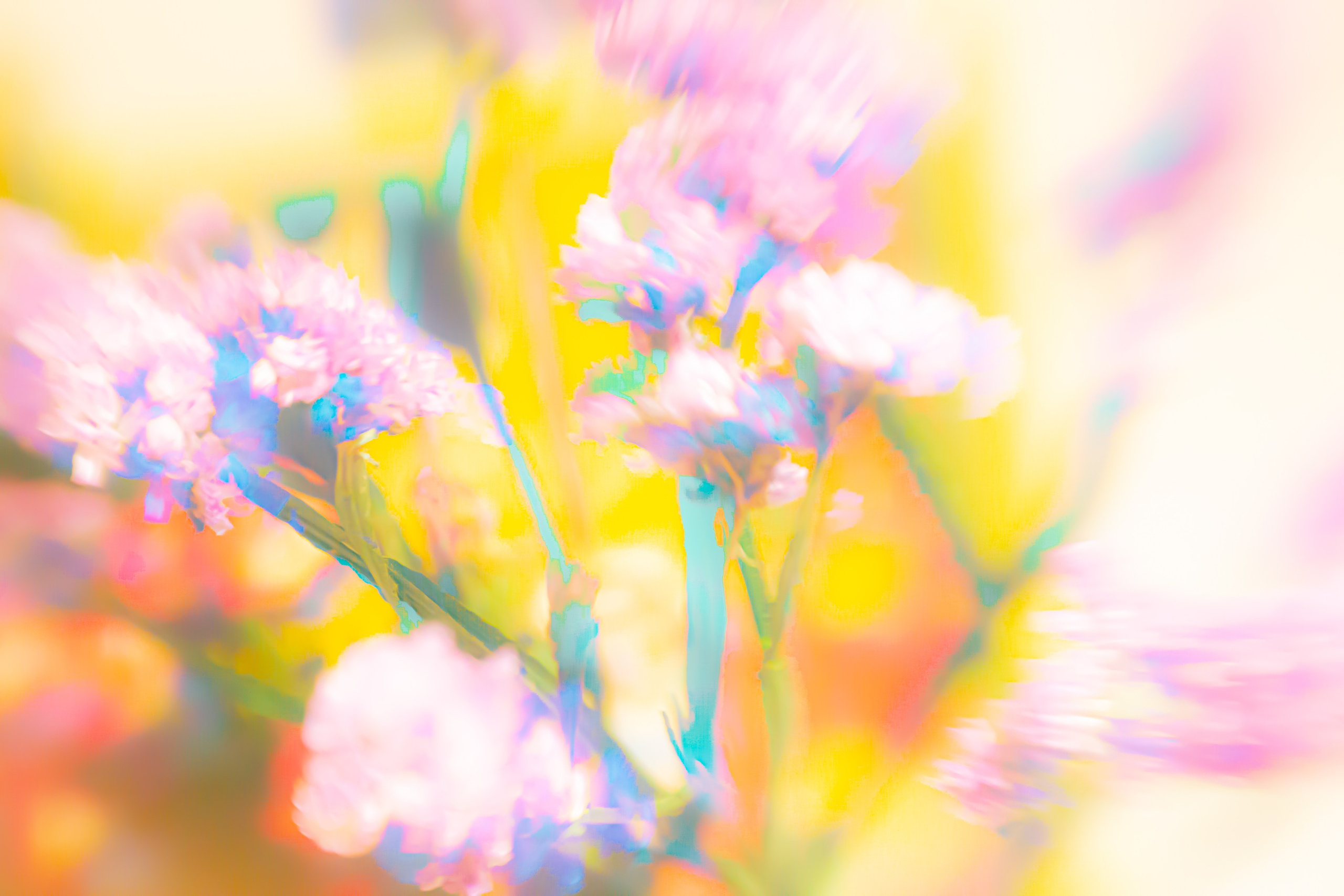 ЦВЕТА, 2025-2026. АННА ВЕРСО / ANNA VERSO | Визуальный художник / Visual artist