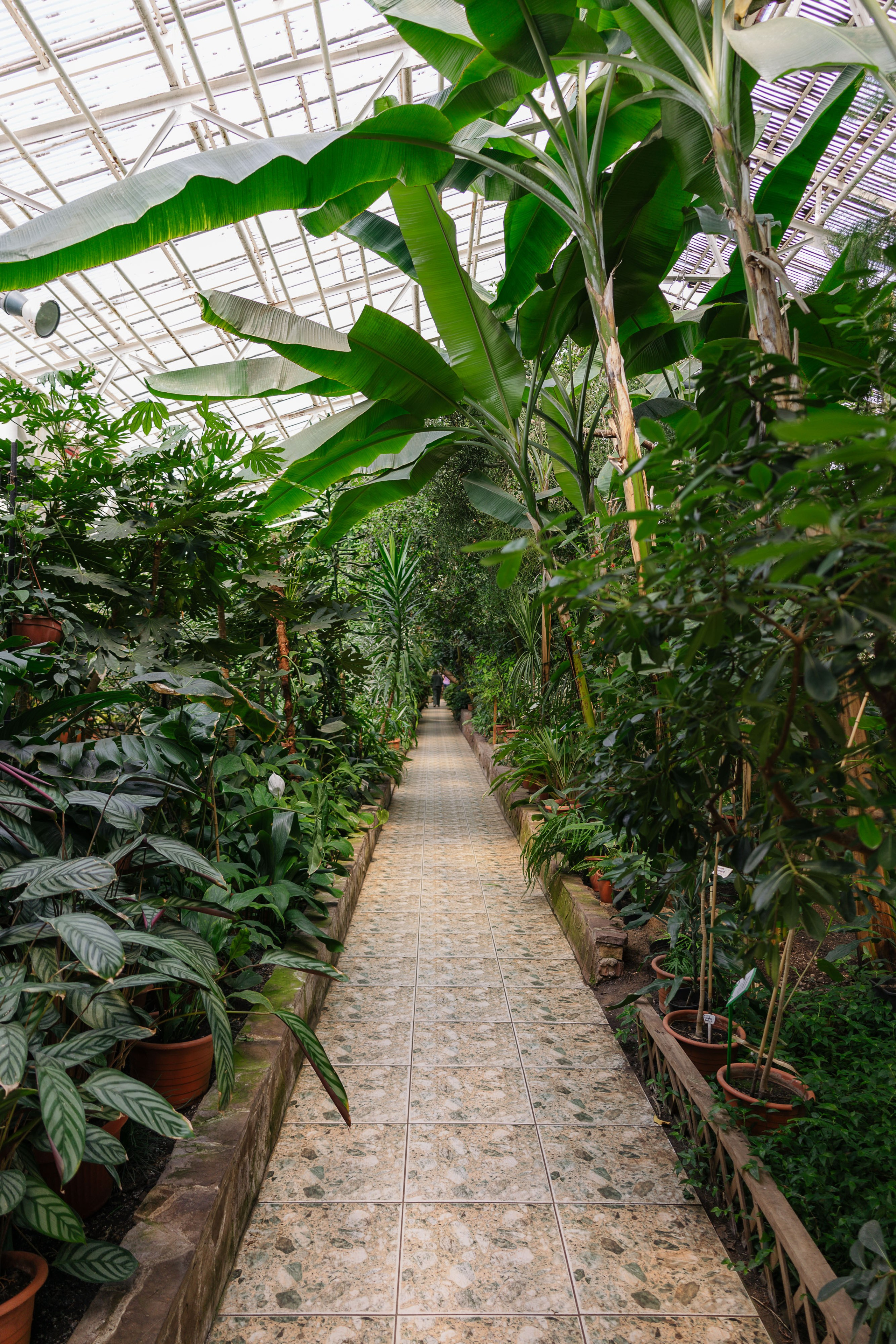 Ботанический сад Уфа. Оранжерея Уфа