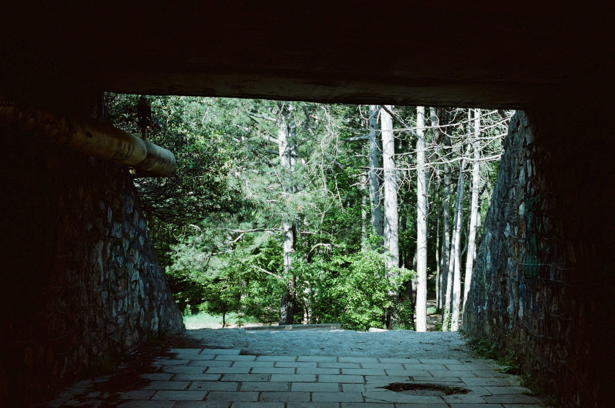 Silver strings // ukraine, crimea. EVER EXPOSED