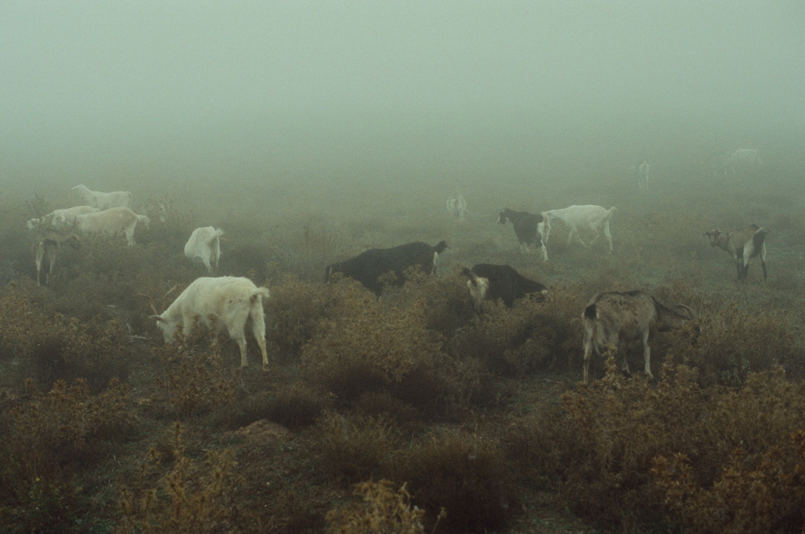I o u // ukraine, crimea. EVER EXPOSED