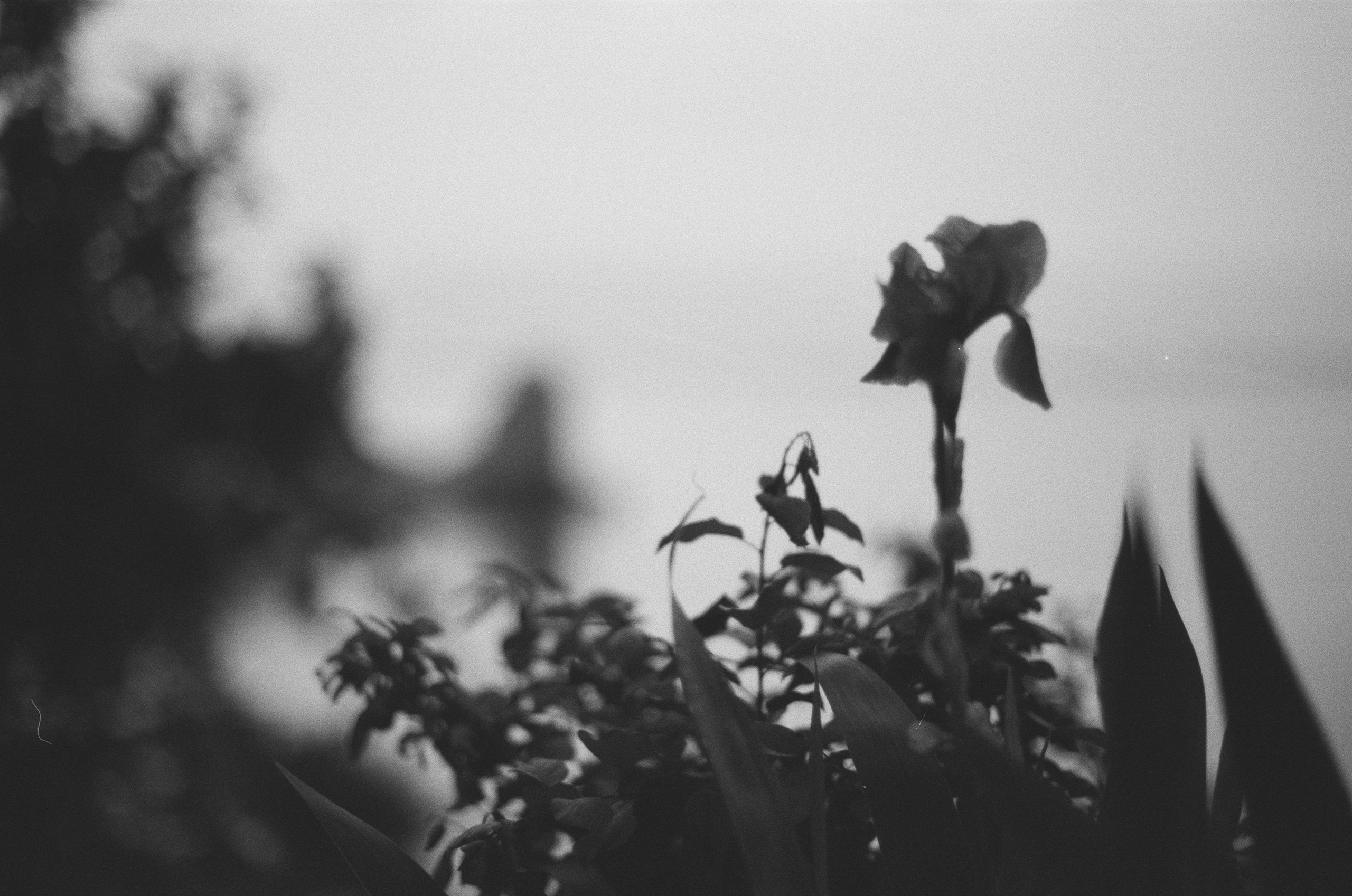 Sparks // ukraine, crimea II. EVER EXPOSED