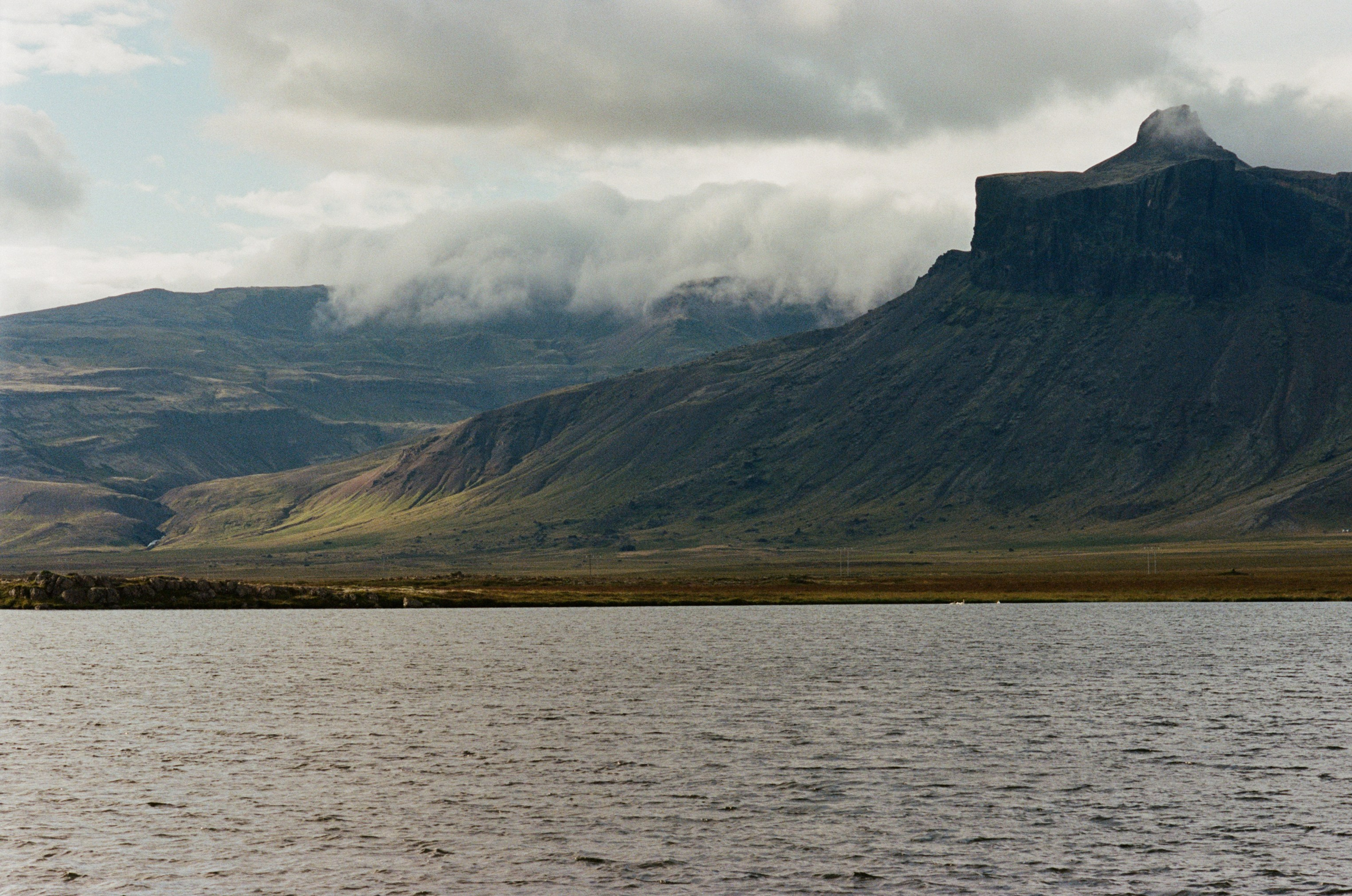 Vor i vaglaskogi // iceland, 724. EVER EXPOSED