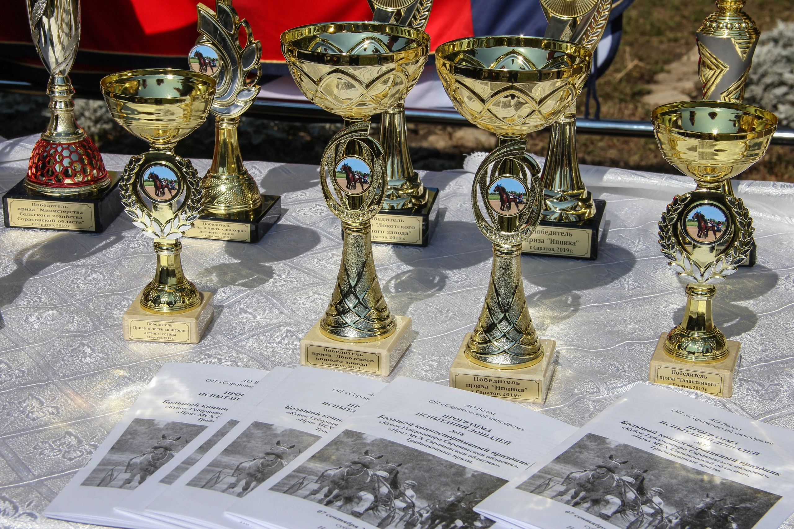 Кубок Губернатора Саратовской области по конному спорту. Пазл —организация фестивалей, ярмарок, выставок в Саратове