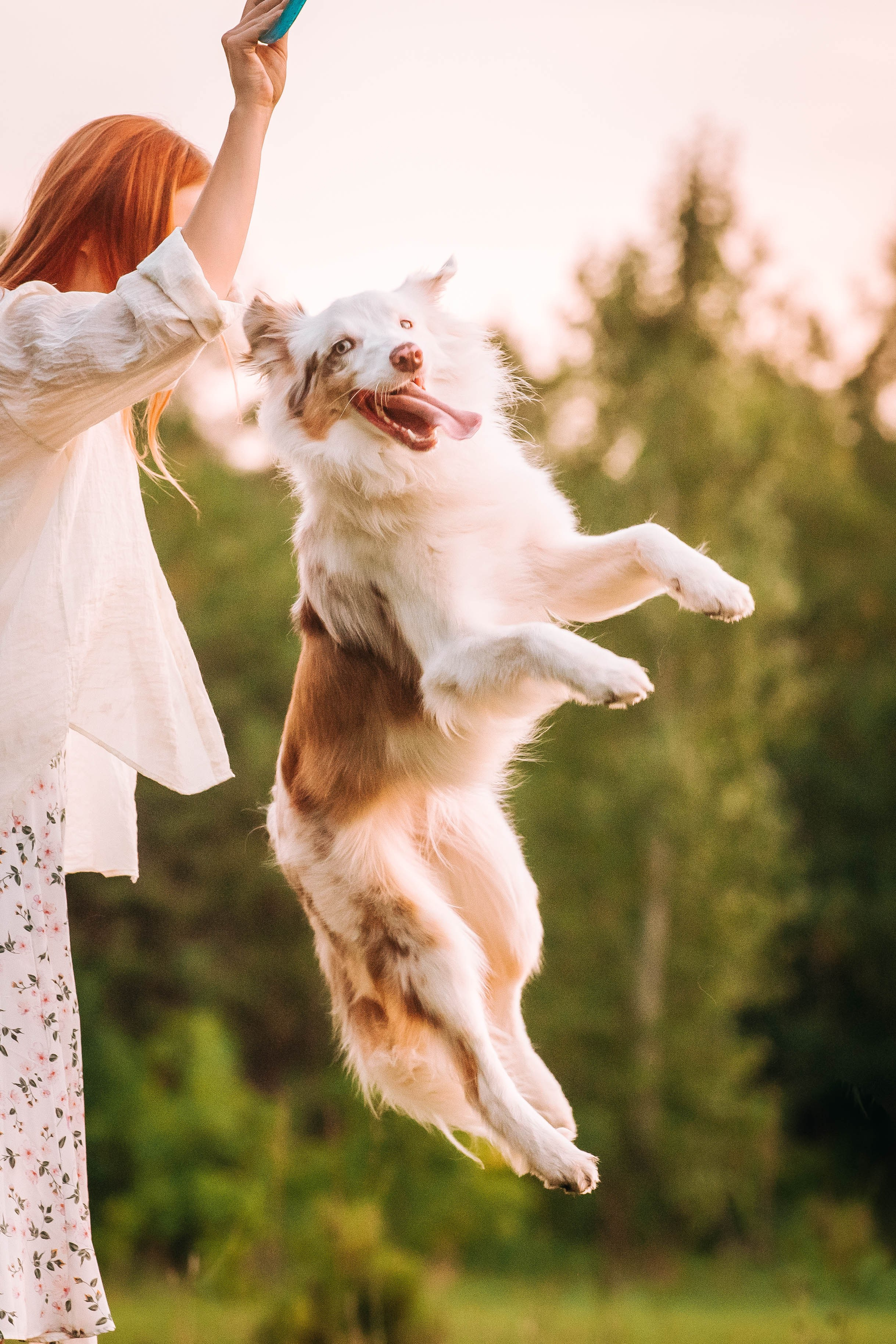 Лиза и Айви. Главная