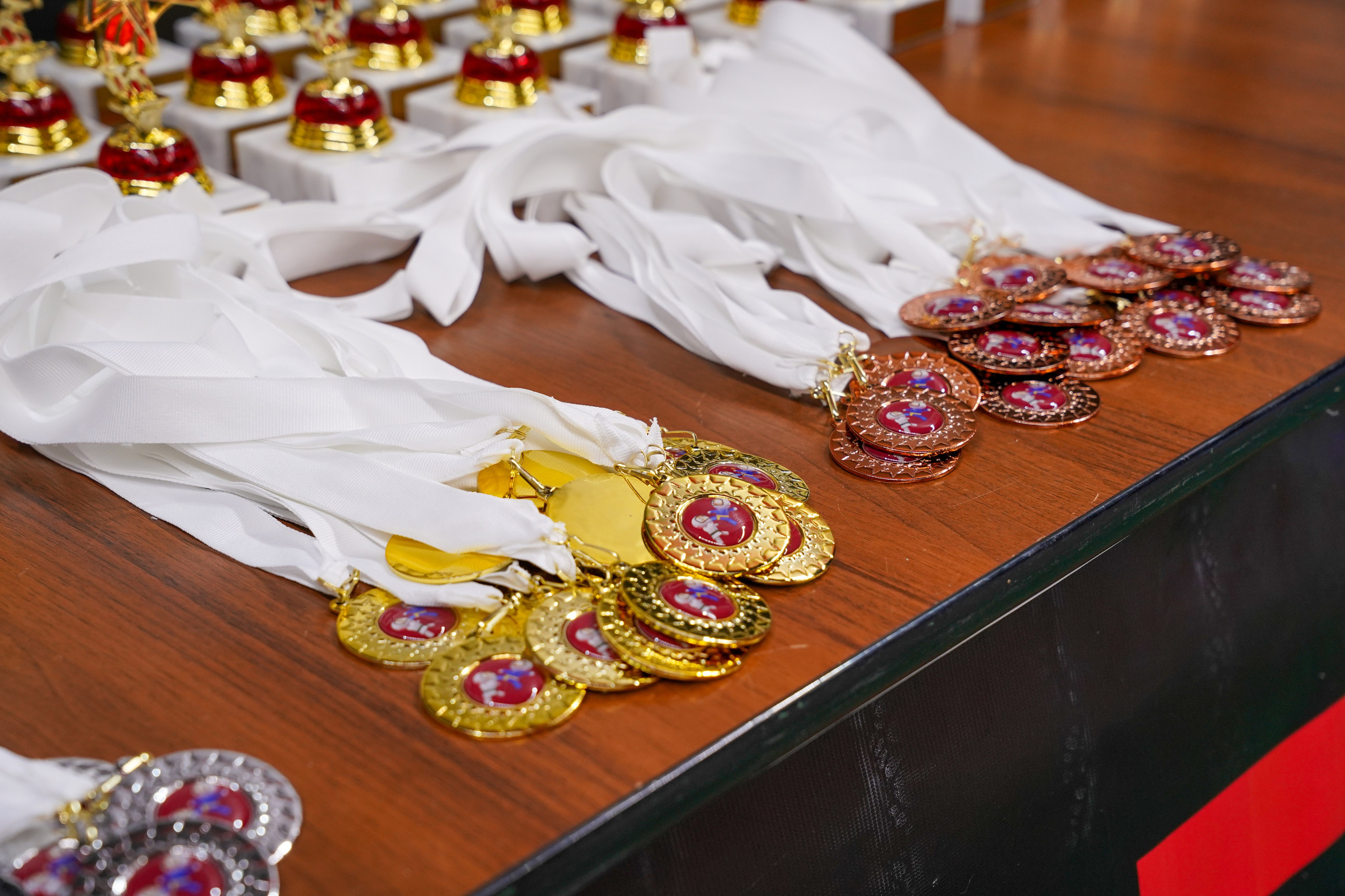 XXXII ЧЕМПИОНАТ И ПЕРВЕНСТВО МОСКВЫ ПО КУДО. «Студия DRONAVT`s» — видеосъёмка и фотография г. Москва