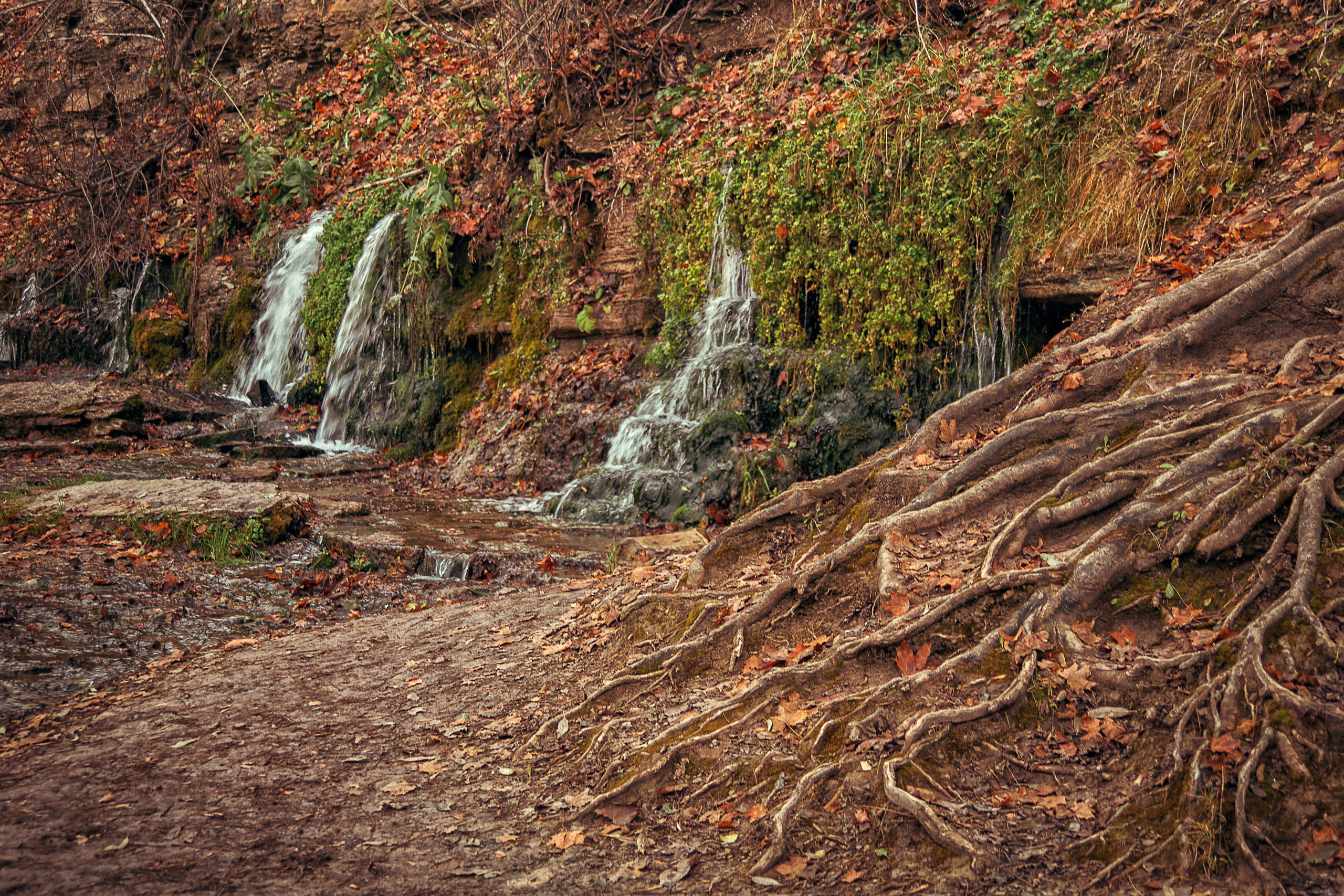 Изборск. Семейный и детский фотограф в Москве Ольга Кривенцова