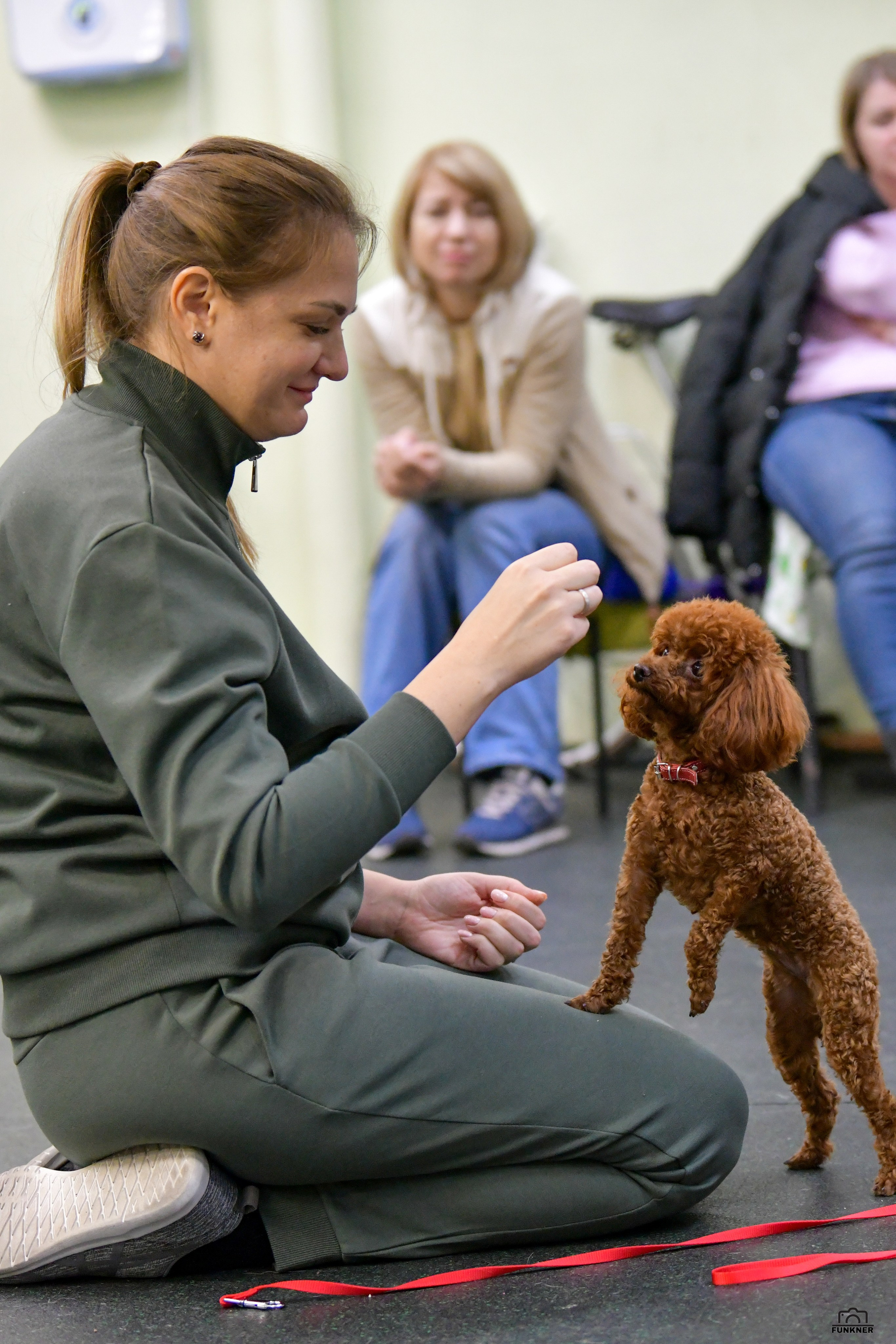 Кинологический клуб «Бодрый хвост». Свой взгляд через объектив