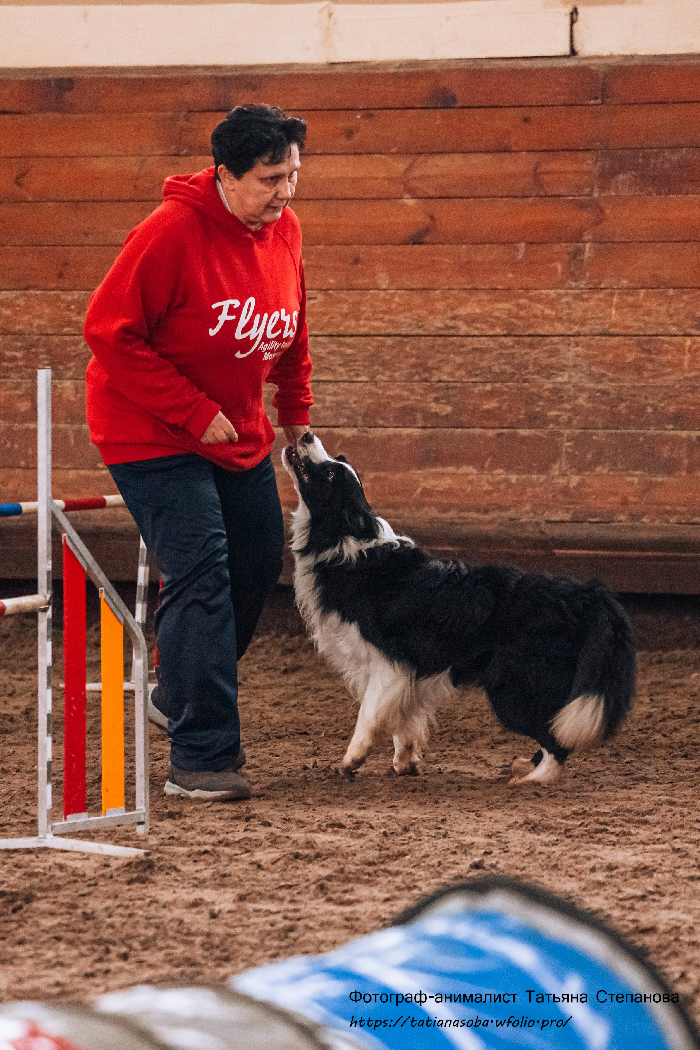 Соревнования по Аджилити 25.02.2024. Фотограф-анималист Татьяна Степанова