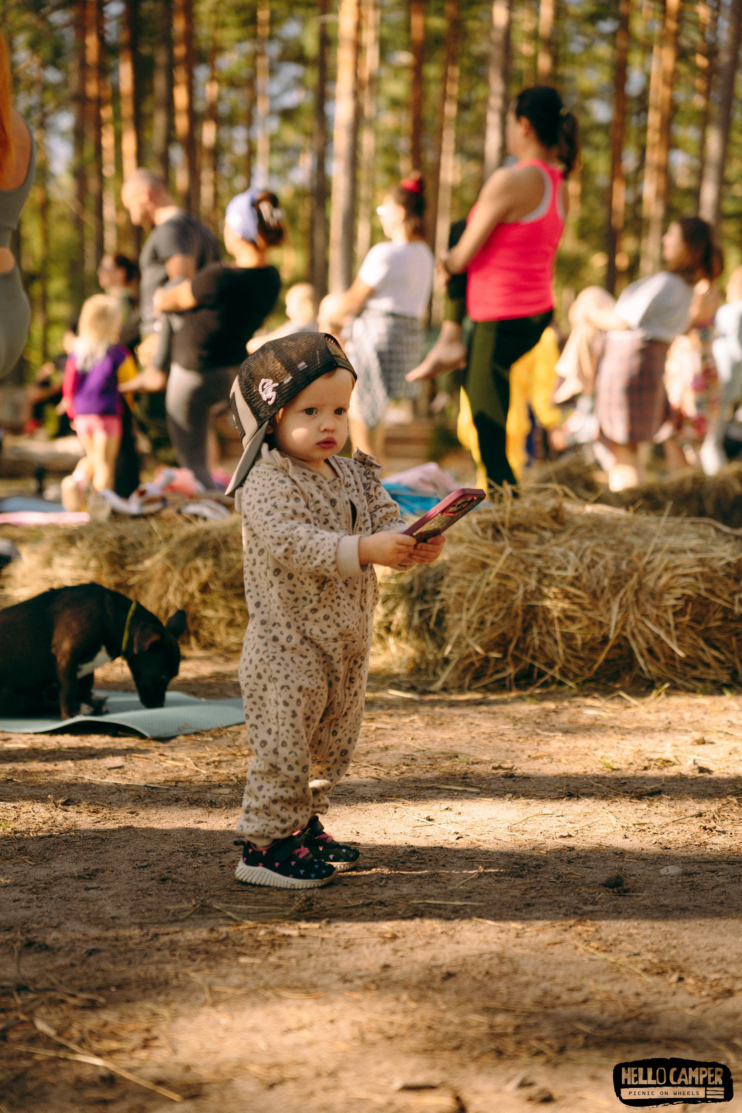 Свадебная и репортажная съемка. Предметный и портретный фотограф в Санкт-Петербурге Заманова Дарья