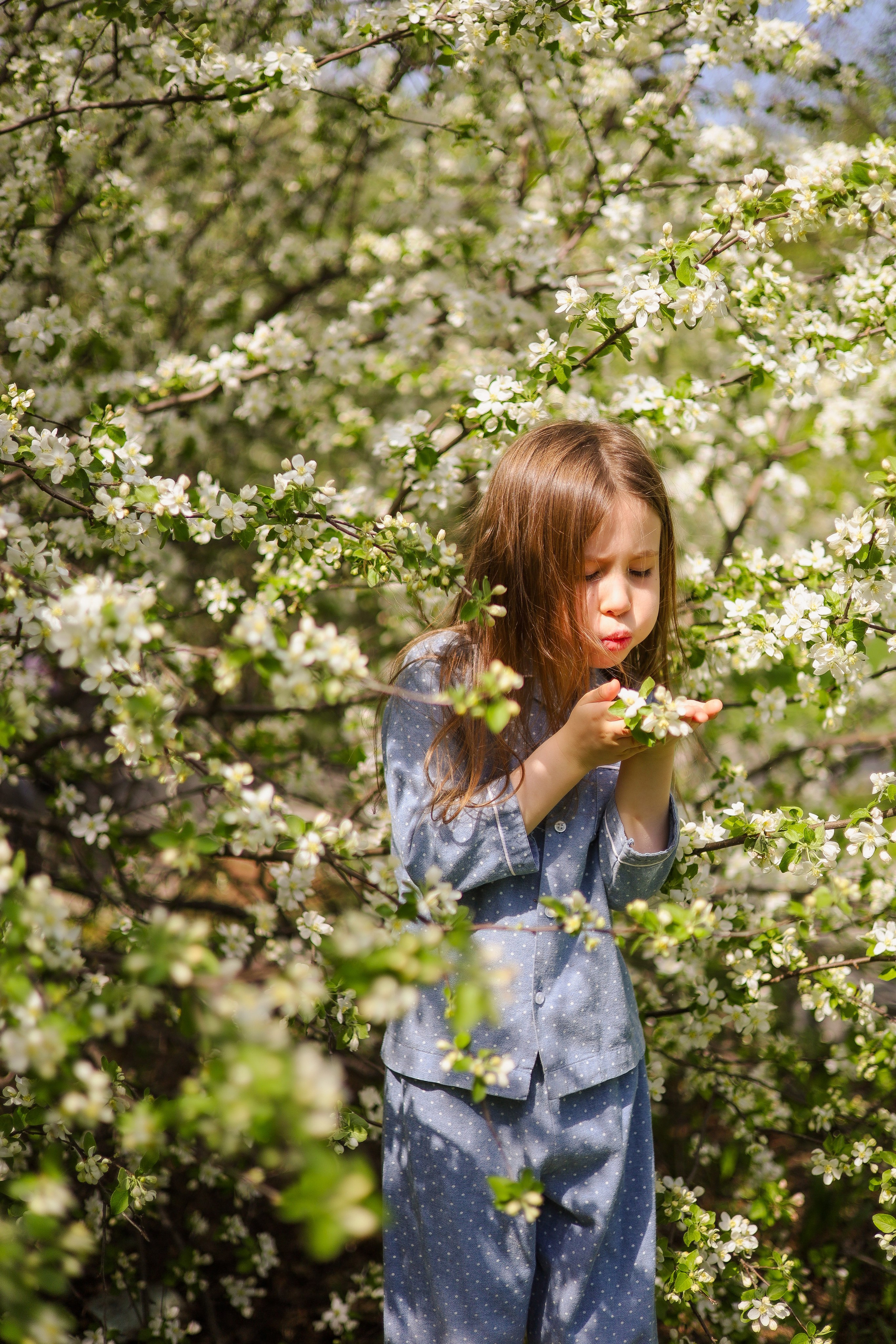 Индивидуальная фотосессия. Ваш семейный фотограф