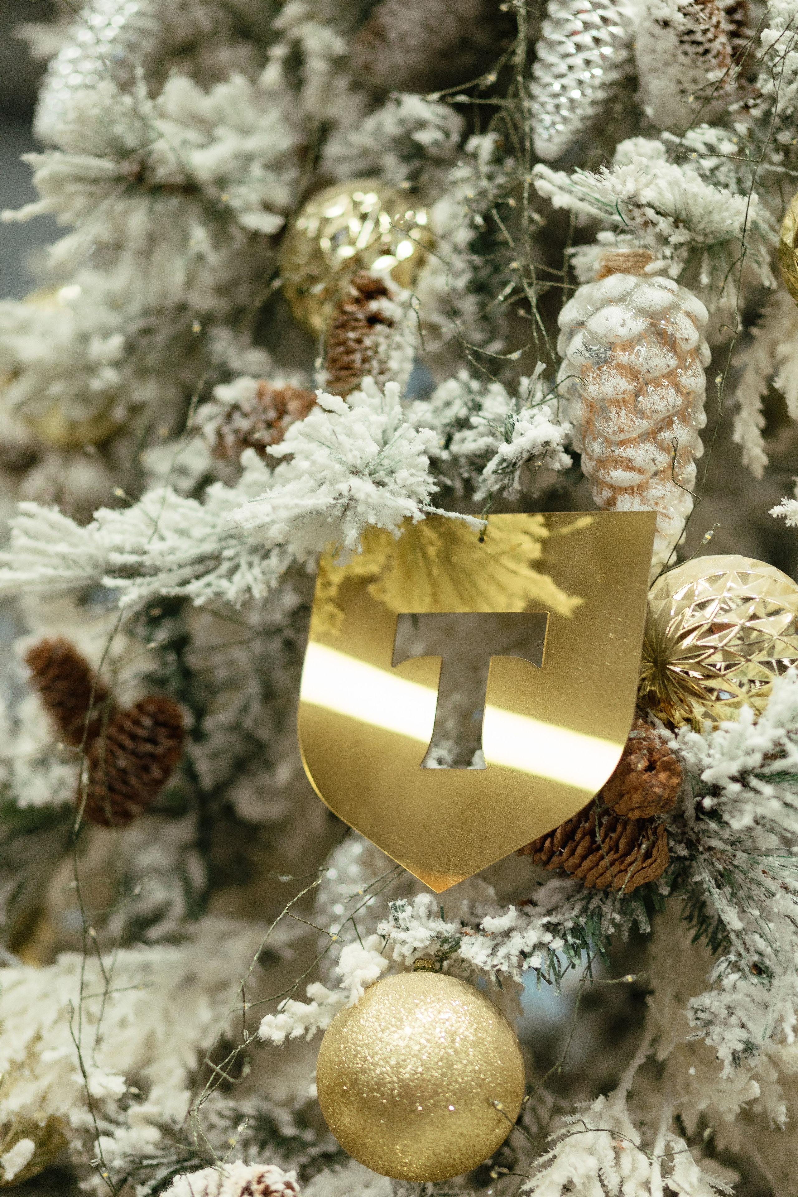 Т-Банк Data завтрак. Фотограф Екатерина Советкина Самара